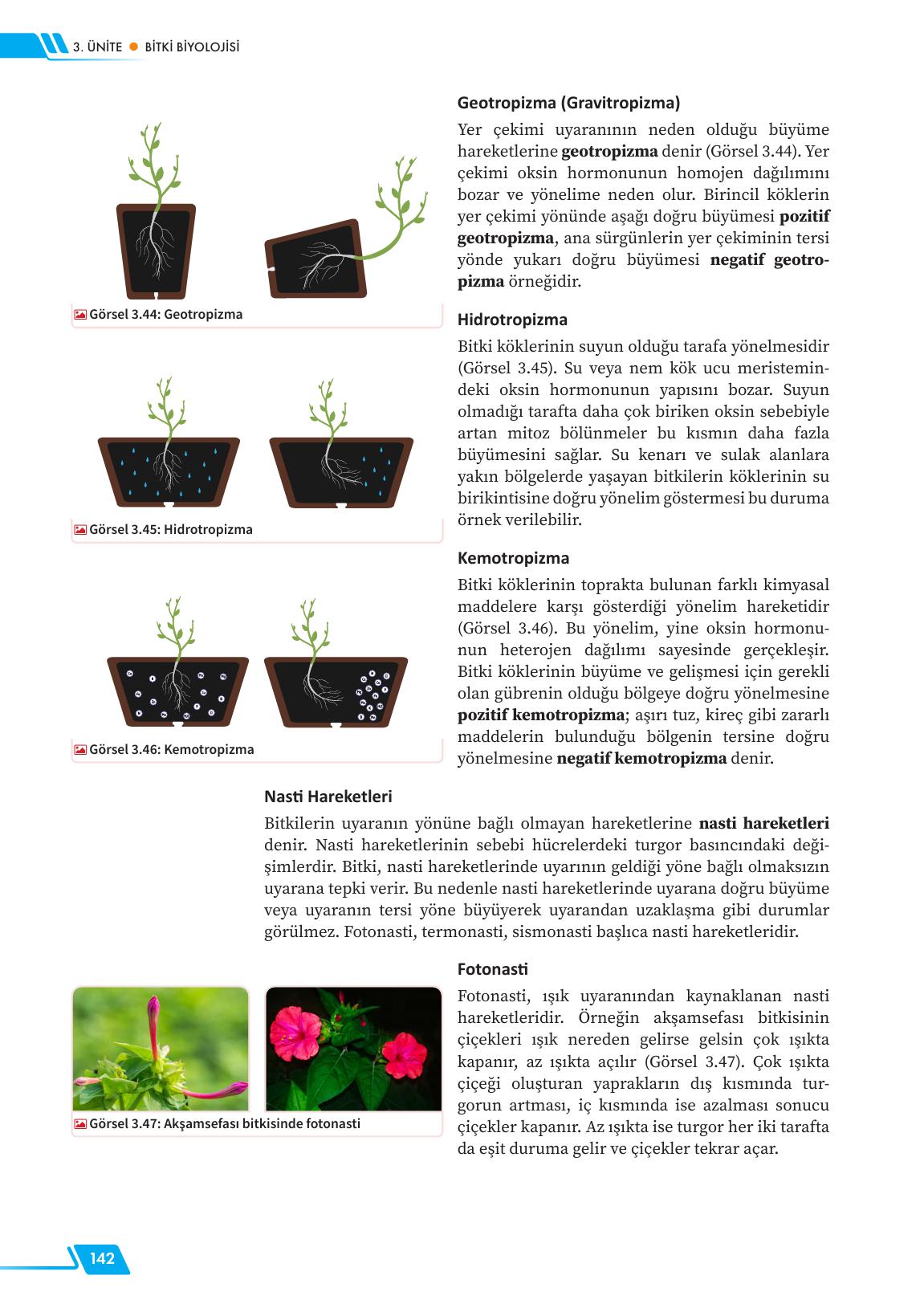 12. Sınıf Meb Yayınları Fen Lisesi Biyoloji Ders Kitabı Sayfa 142 Cevapları