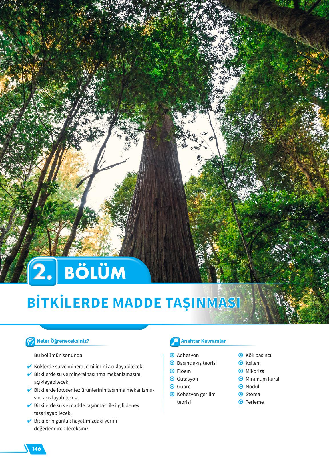 12. Sınıf Meb Yayınları Fen Lisesi Biyoloji Ders Kitabı Sayfa 146 Cevapları