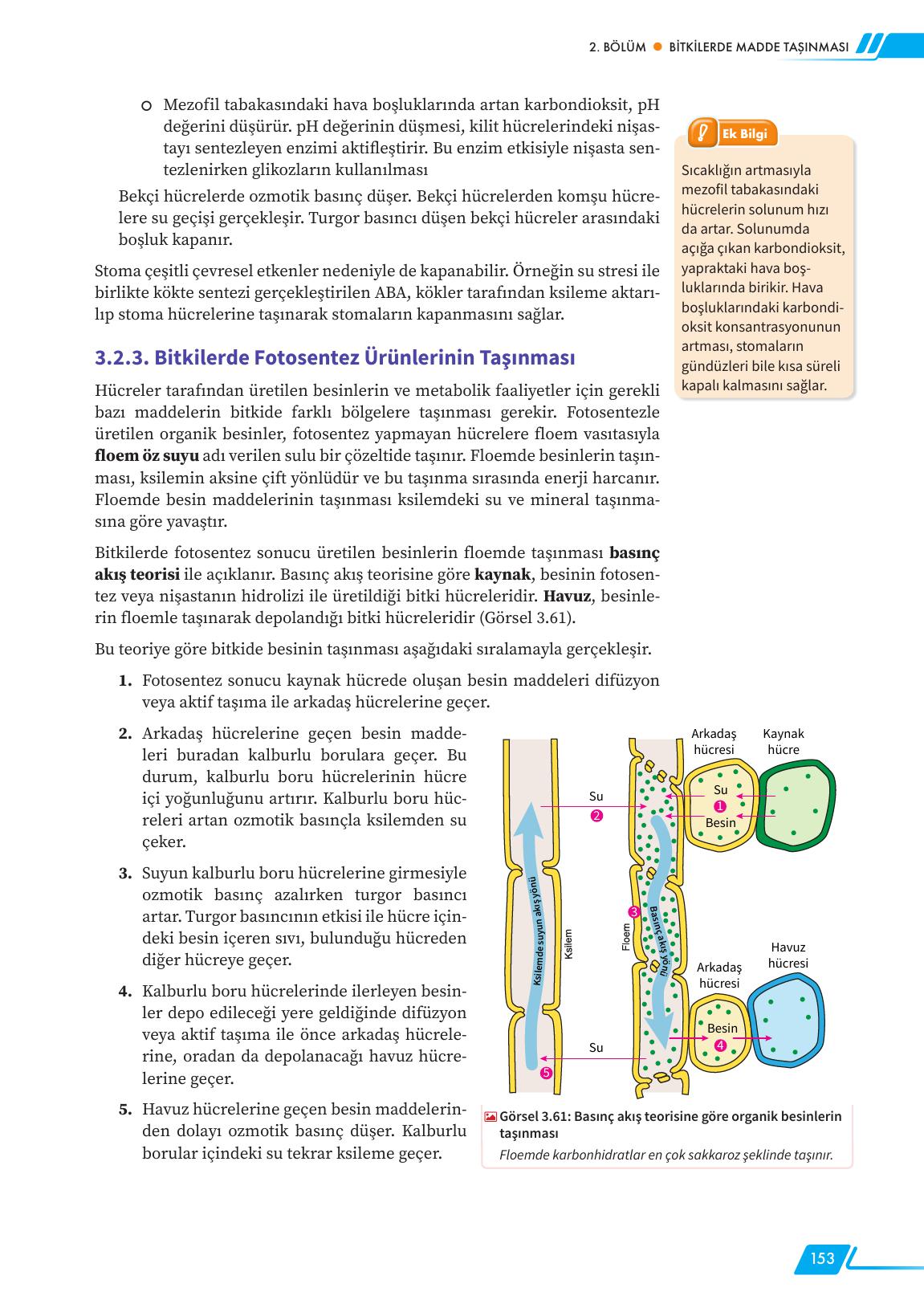 12. Sınıf Meb Yayınları Fen Lisesi Biyoloji Ders Kitabı Sayfa 153 Cevapları