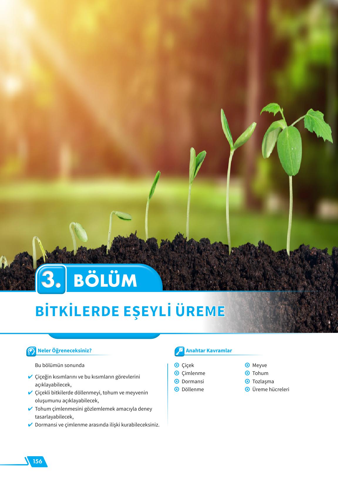 12. Sınıf Meb Yayınları Fen Lisesi Biyoloji Ders Kitabı Sayfa 156 Cevapları