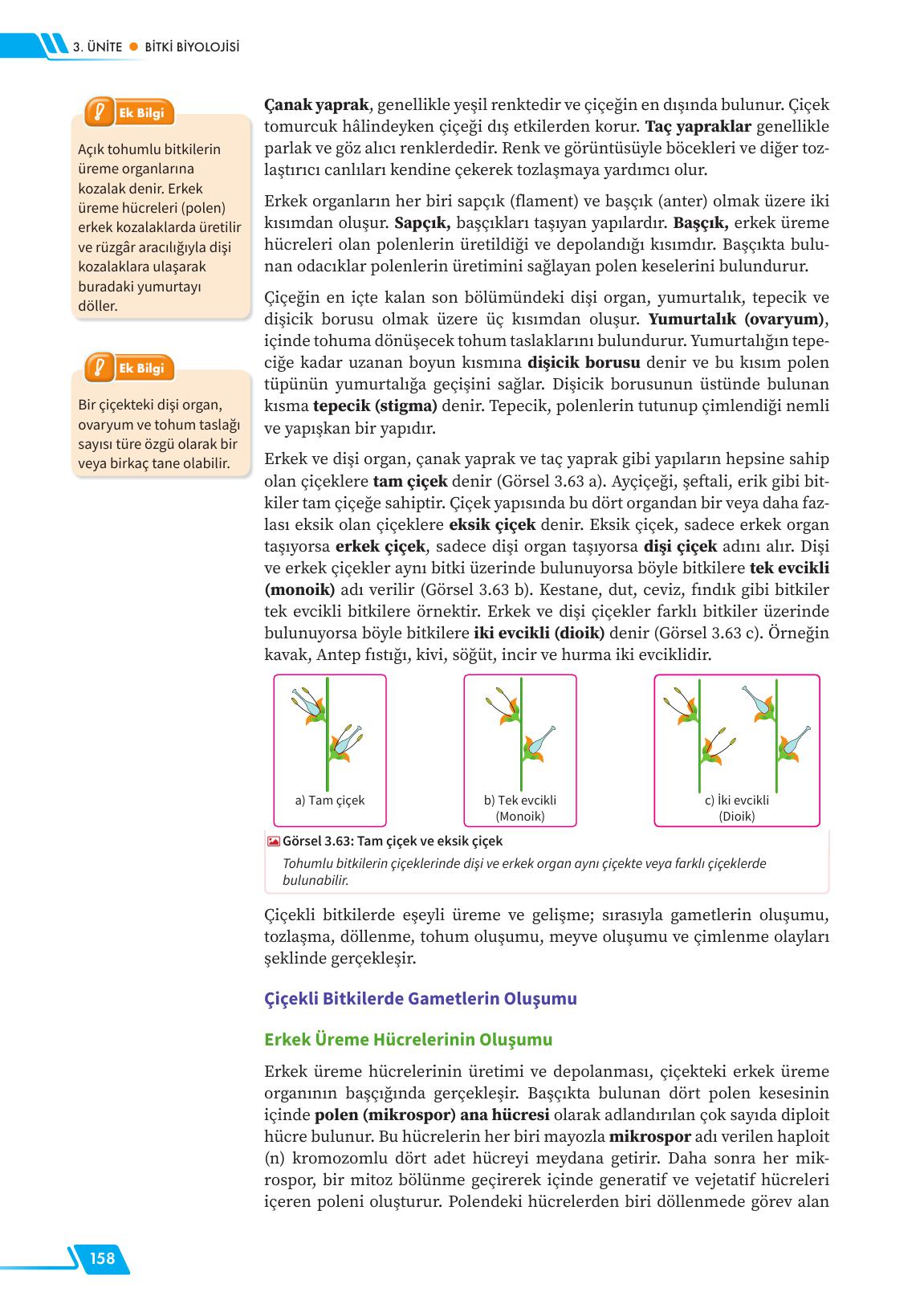 12. Sınıf Meb Yayınları Fen Lisesi Biyoloji Ders Kitabı Sayfa 158 Cevapları