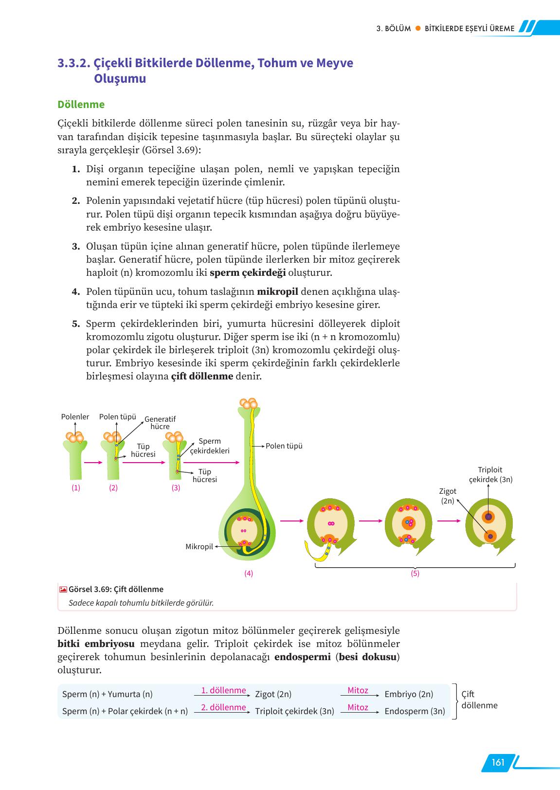 12. Sınıf Meb Yayınları Fen Lisesi Biyoloji Ders Kitabı Sayfa 161 Cevapları