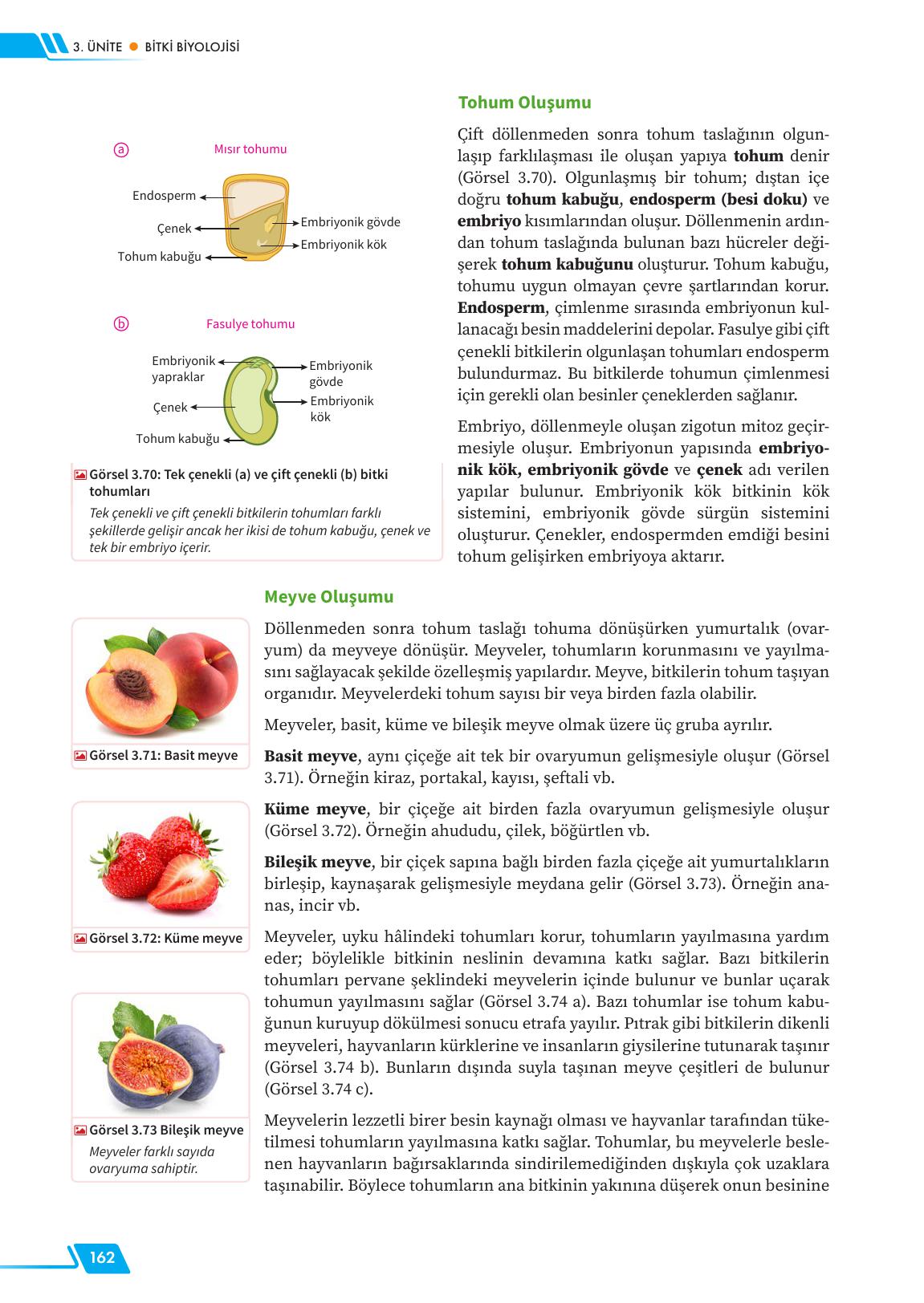 12. Sınıf Meb Yayınları Fen Lisesi Biyoloji Ders Kitabı Sayfa 162 Cevapları