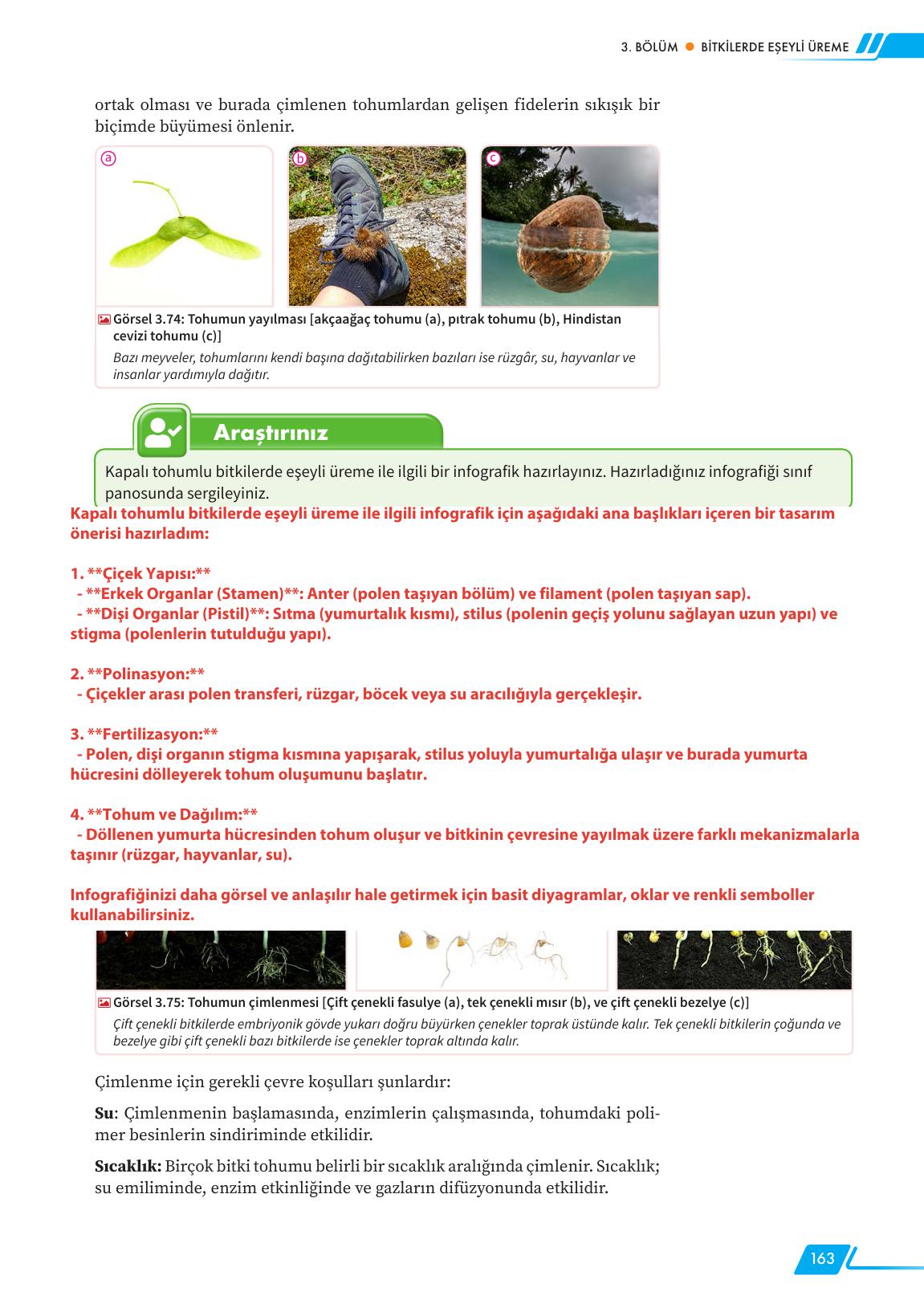 12. Sınıf Meb Yayınları Fen Lisesi Biyoloji Ders Kitabı Sayfa 163 Cevapları