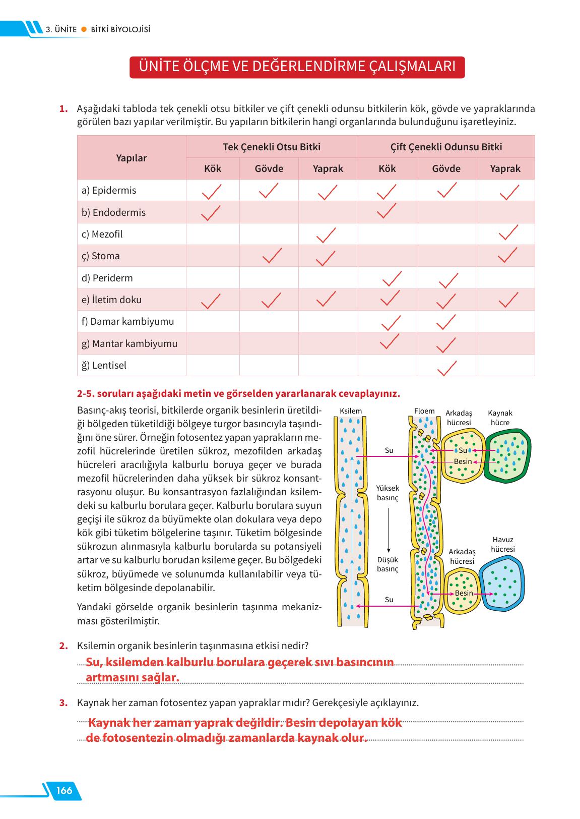 12. Sınıf Meb Yayınları Fen Lisesi Biyoloji Ders Kitabı Sayfa 166 Cevapları