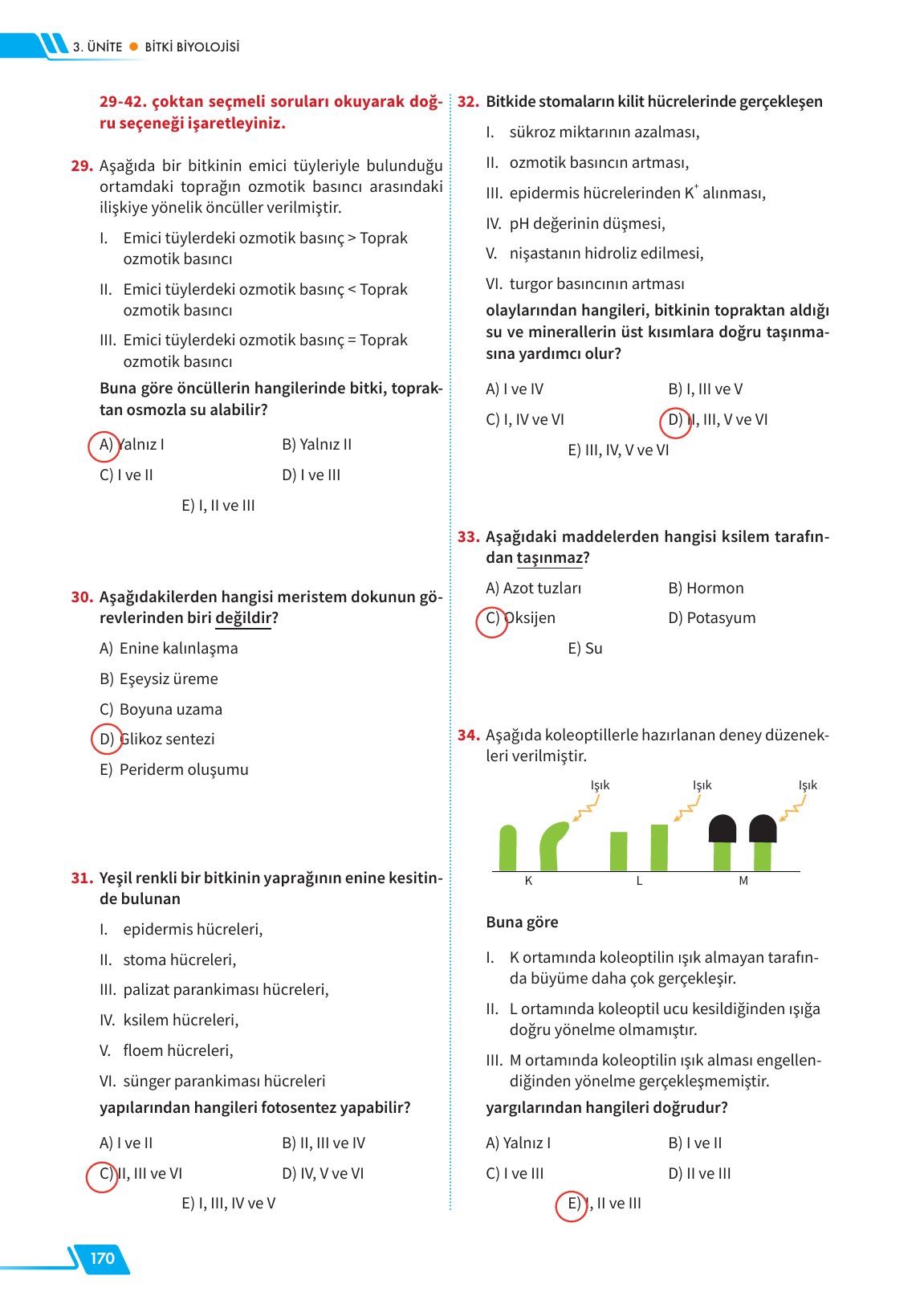12. Sınıf Meb Yayınları Fen Lisesi Biyoloji Ders Kitabı Sayfa 170 Cevapları