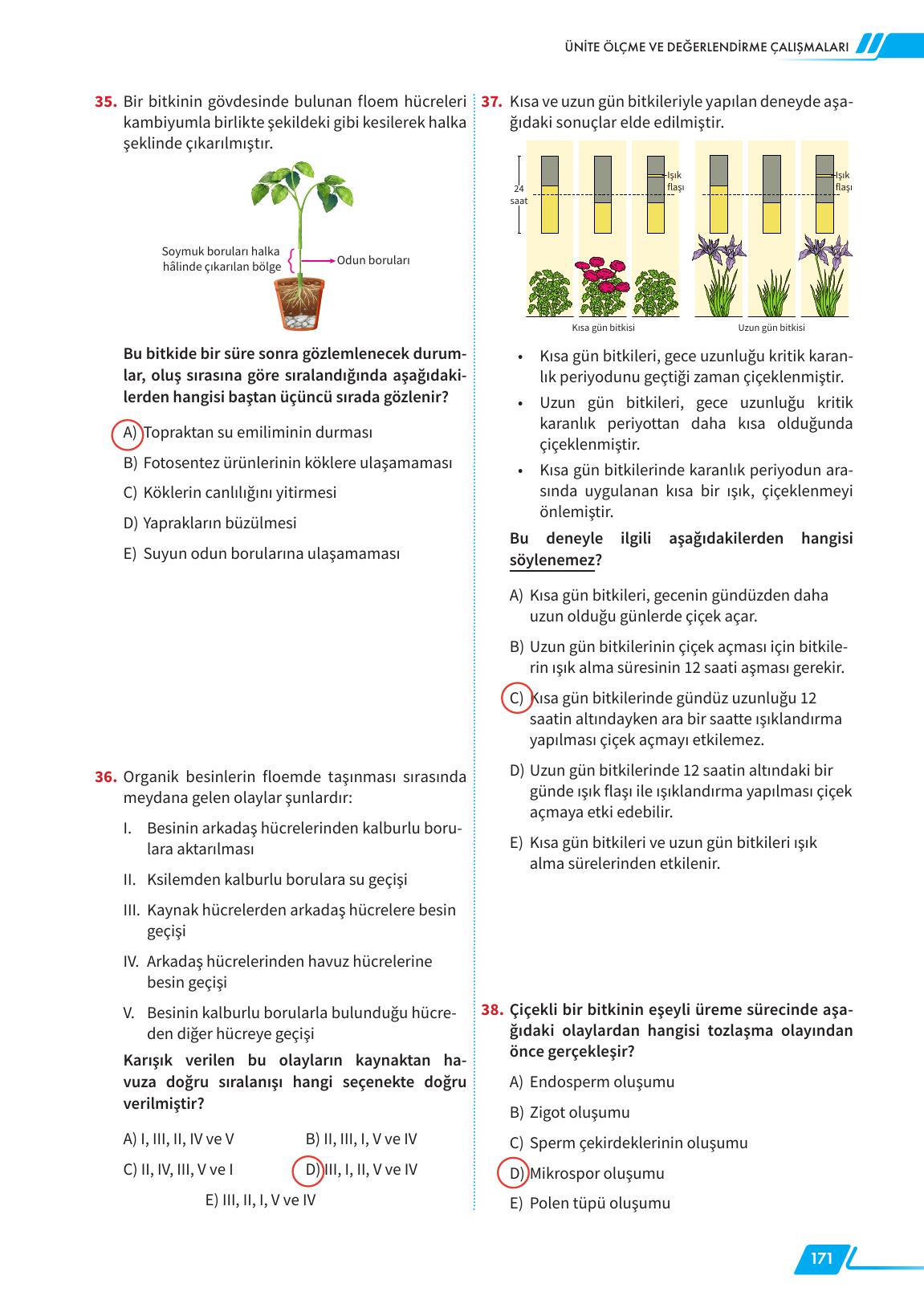 12. Sınıf Meb Yayınları Fen Lisesi Biyoloji Ders Kitabı Sayfa 171 Cevapları