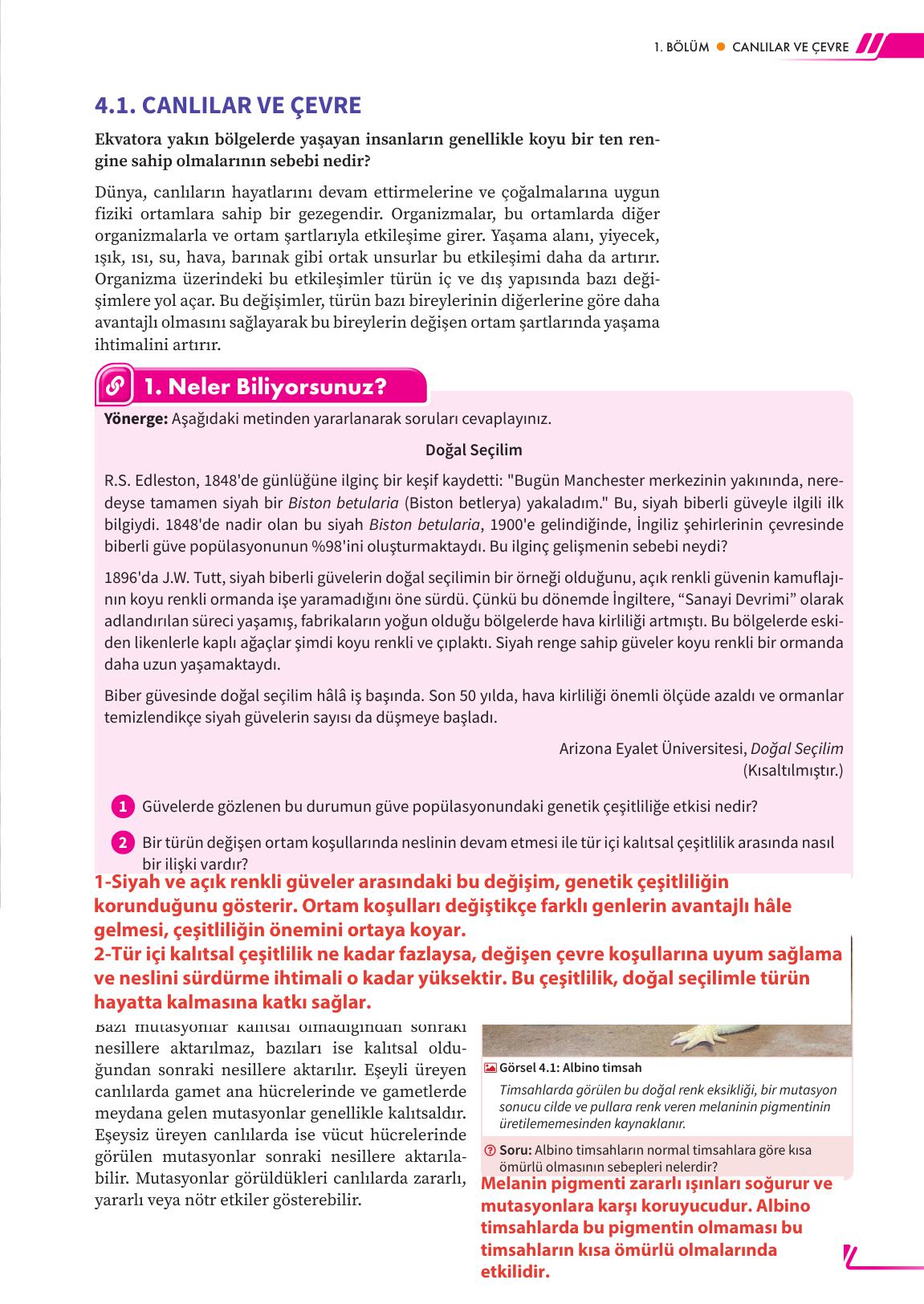 12. Sınıf Meb Yayınları Fen Lisesi Biyoloji Ders Kitabı Sayfa 175 Cevapları