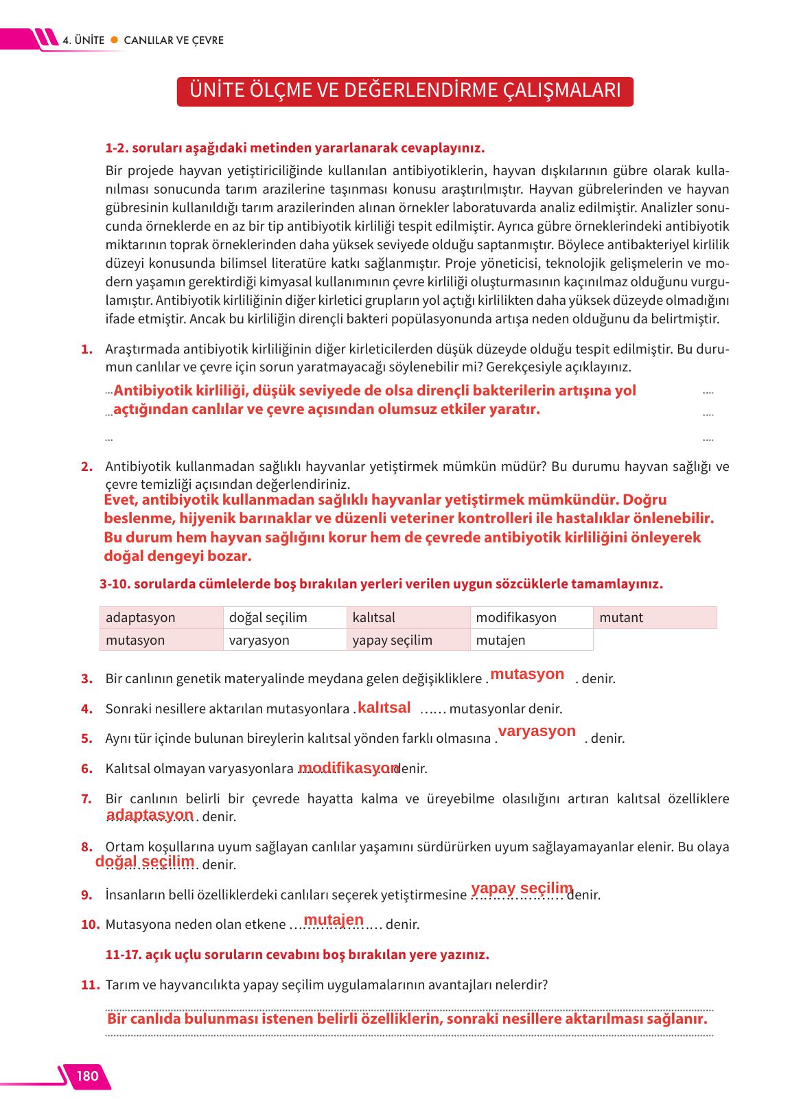 12. Sınıf Meb Yayınları Fen Lisesi Biyoloji Ders Kitabı Sayfa 180 Cevapları
