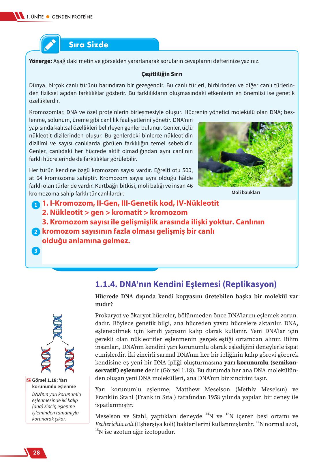 12. Sınıf Meb Yayınları Fen Lisesi Biyoloji Ders Kitabı Sayfa 28 Cevapları