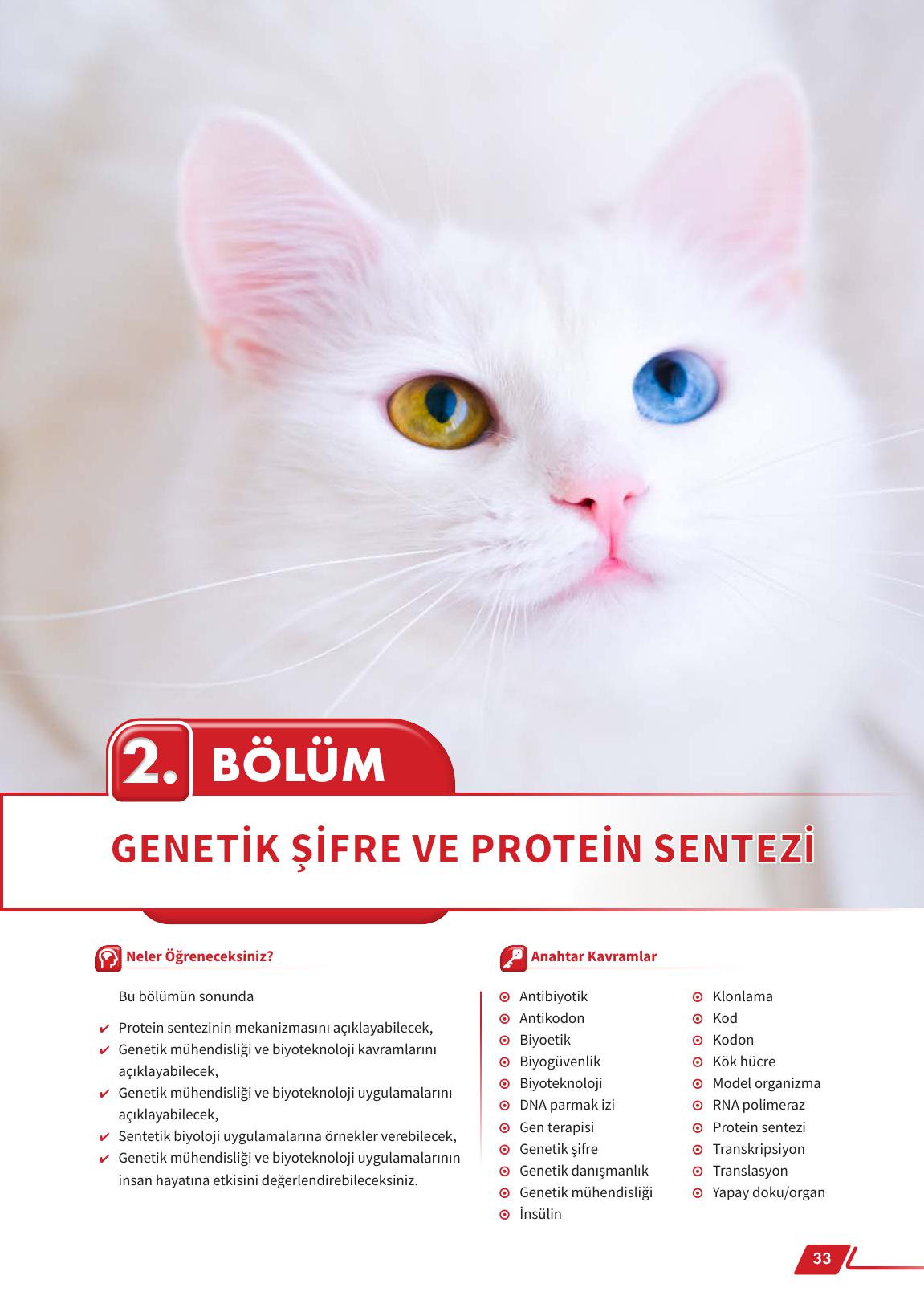 12. Sınıf Meb Yayınları Fen Lisesi Biyoloji Ders Kitabı Sayfa 33 Cevapları