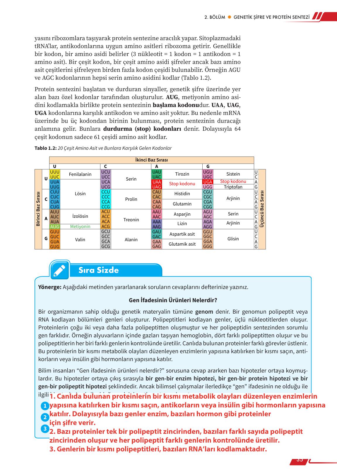 12. Sınıf Meb Yayınları Fen Lisesi Biyoloji Ders Kitabı Sayfa 35 Cevapları
