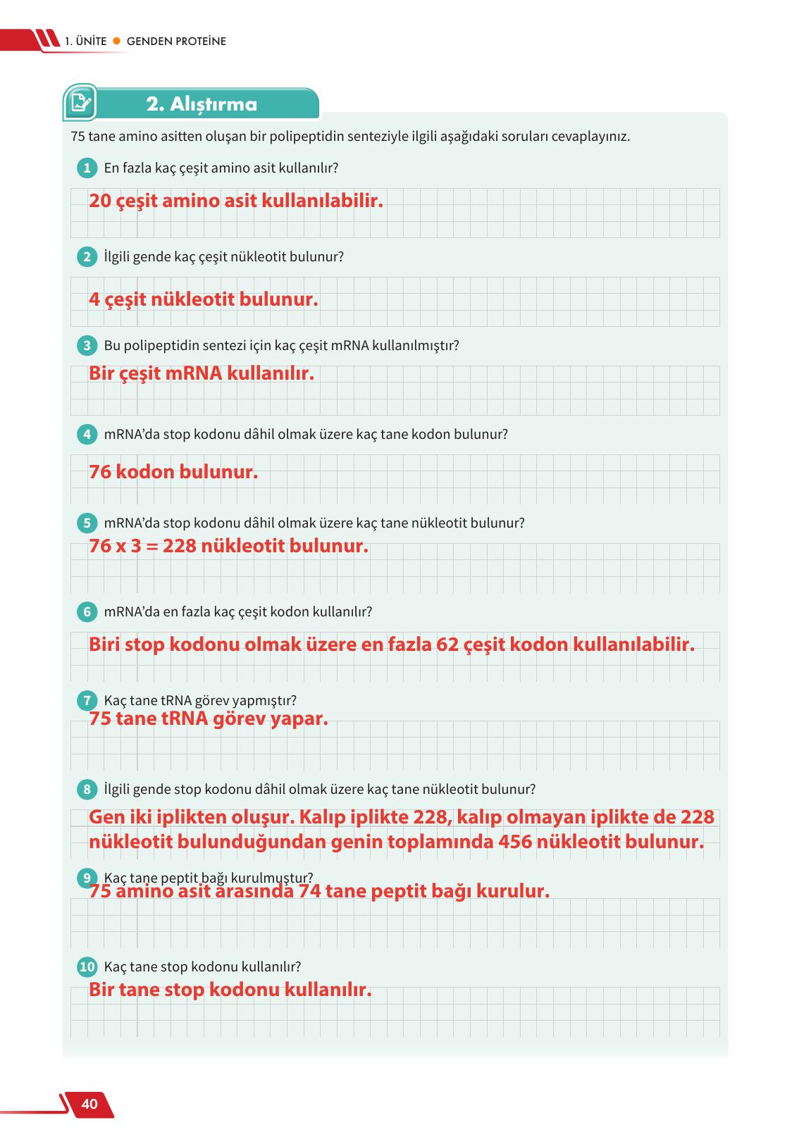 12. Sınıf Meb Yayınları Fen Lisesi Biyoloji Ders Kitabı Sayfa 40 Cevapları