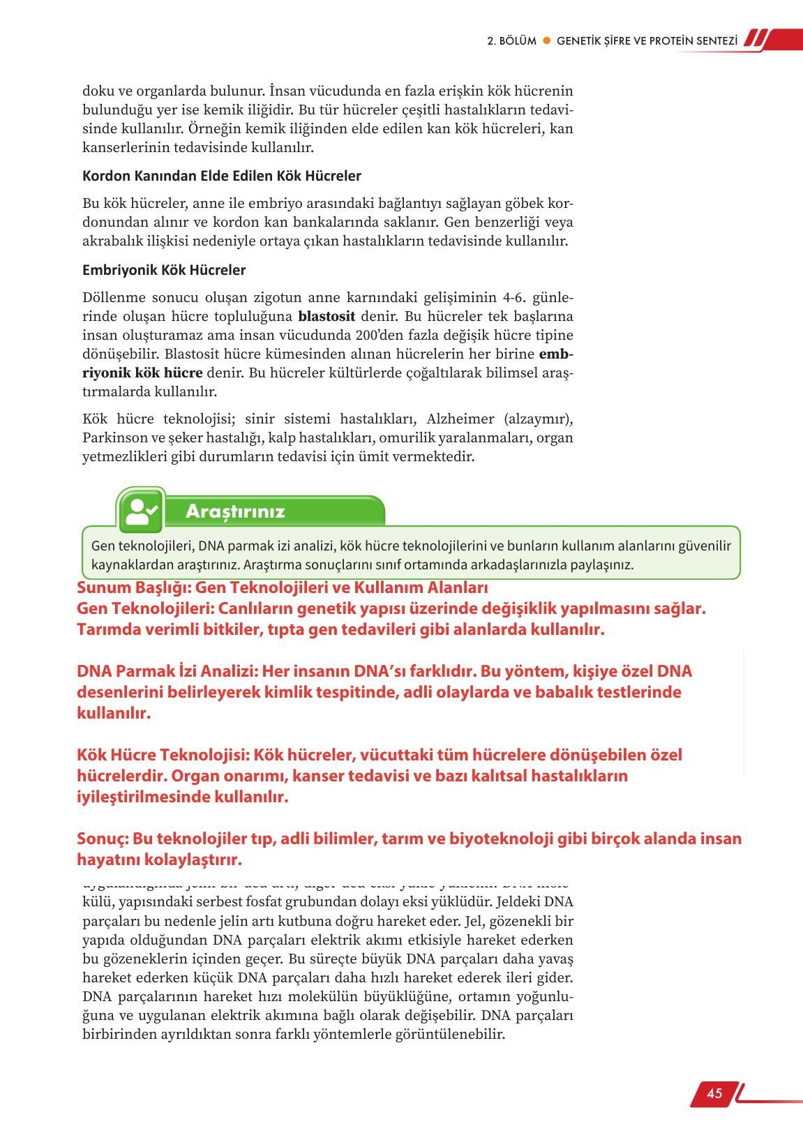 12. Sınıf Meb Yayınları Fen Lisesi Biyoloji Ders Kitabı Sayfa 45 Cevapları 12. Sınıf Meb Yayınları Fen Lisesi Biyoloji Ders Kitabı Sayfa 45 Cevapları