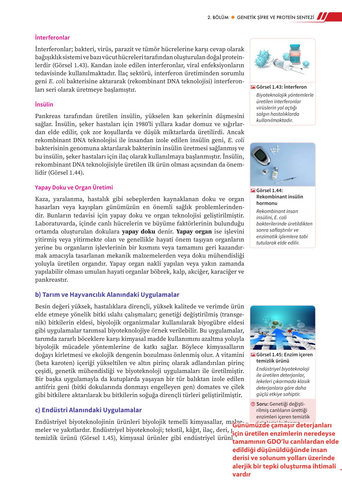 12. Sınıf Meb Yayınları Fen Lisesi Biyoloji Ders Kitabı Sayfa 53 Cevapları