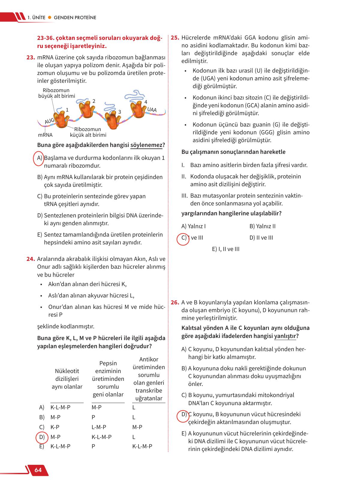 12. Sınıf Meb Yayınları Fen Lisesi Biyoloji Ders Kitabı Sayfa 64 Cevapları