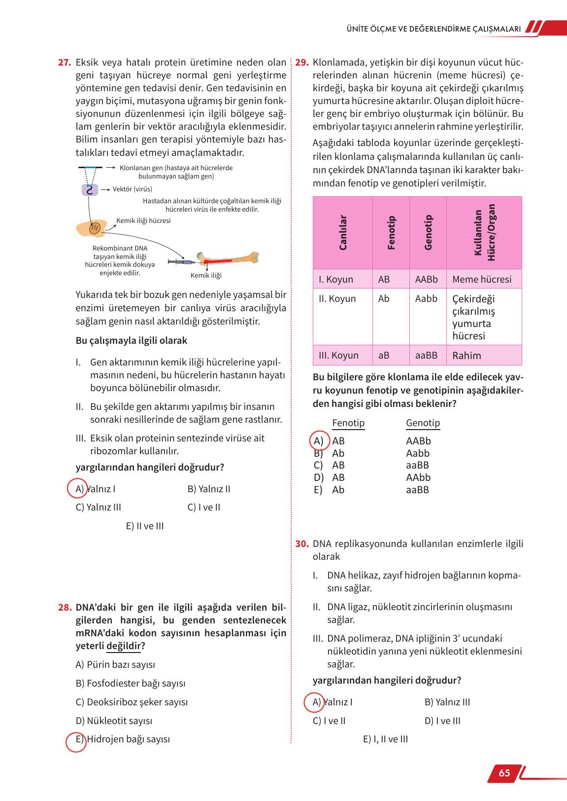 12. Sınıf Meb Yayınları Fen Lisesi Biyoloji Ders Kitabı Sayfa 65 Cevapları