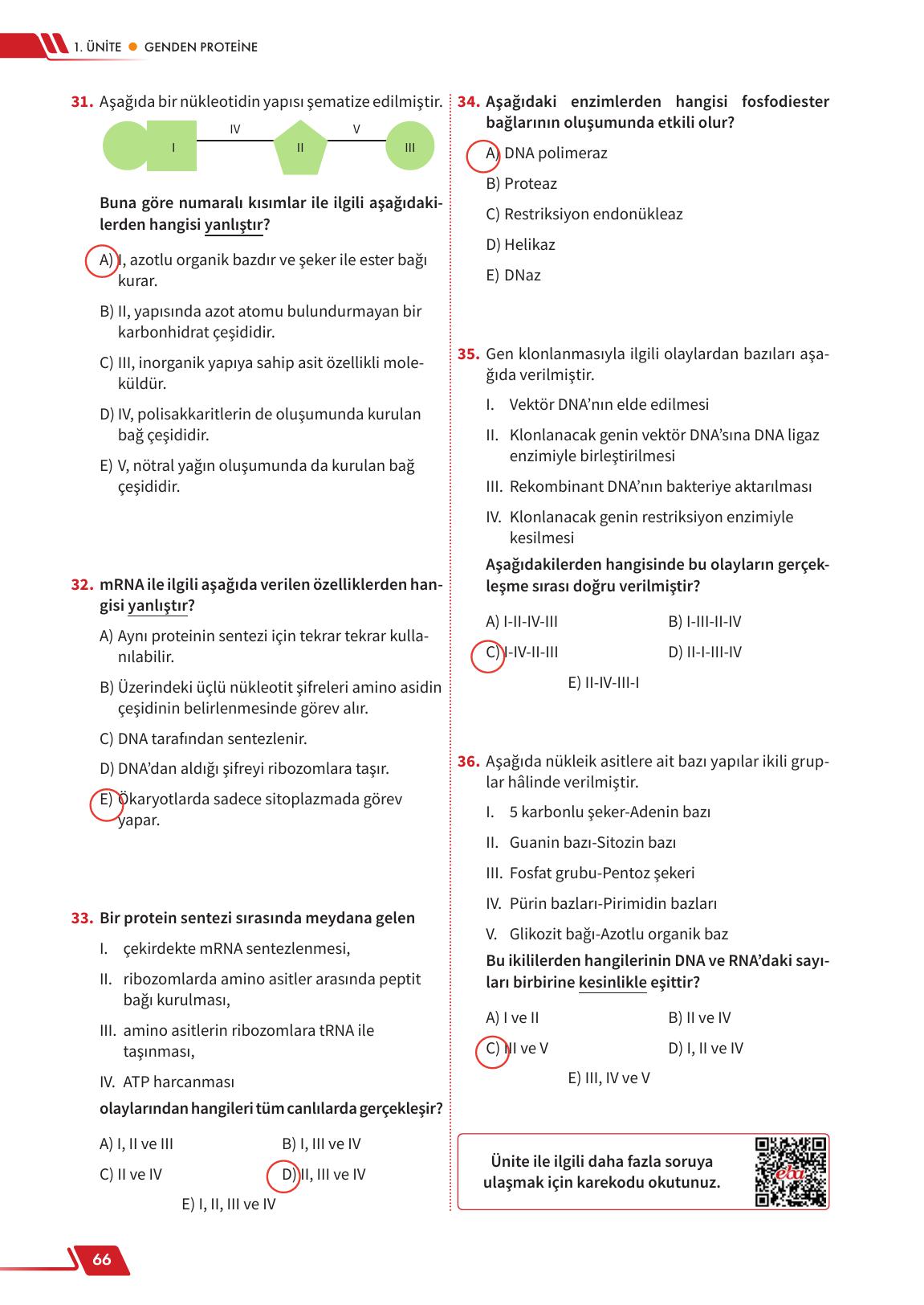 12. Sınıf Meb Yayınları Fen Lisesi Biyoloji Ders Kitabı Sayfa 66 Cevapları