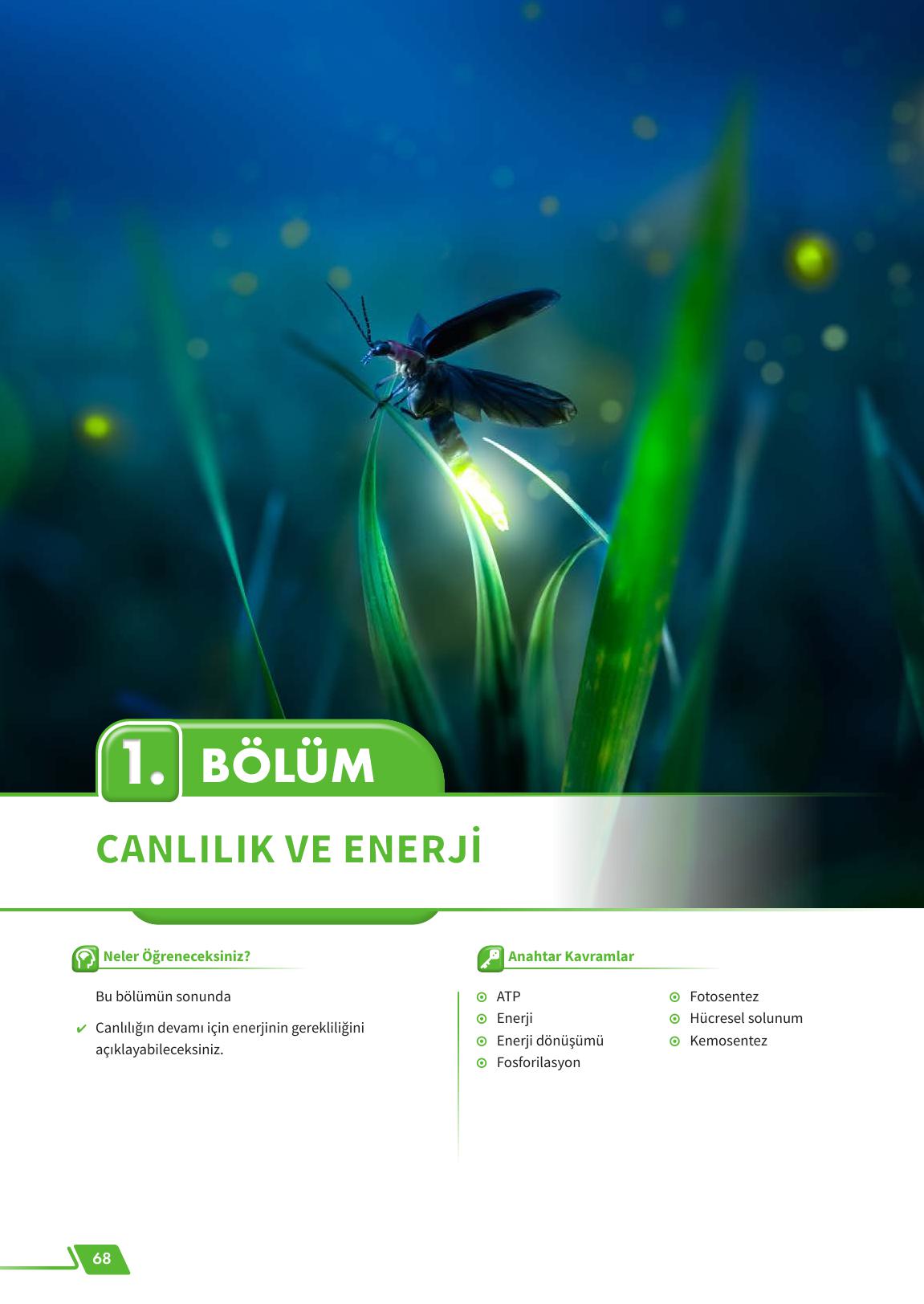 12. Sınıf Meb Yayınları Fen Lisesi Biyoloji Ders Kitabı Sayfa 68 Cevapları