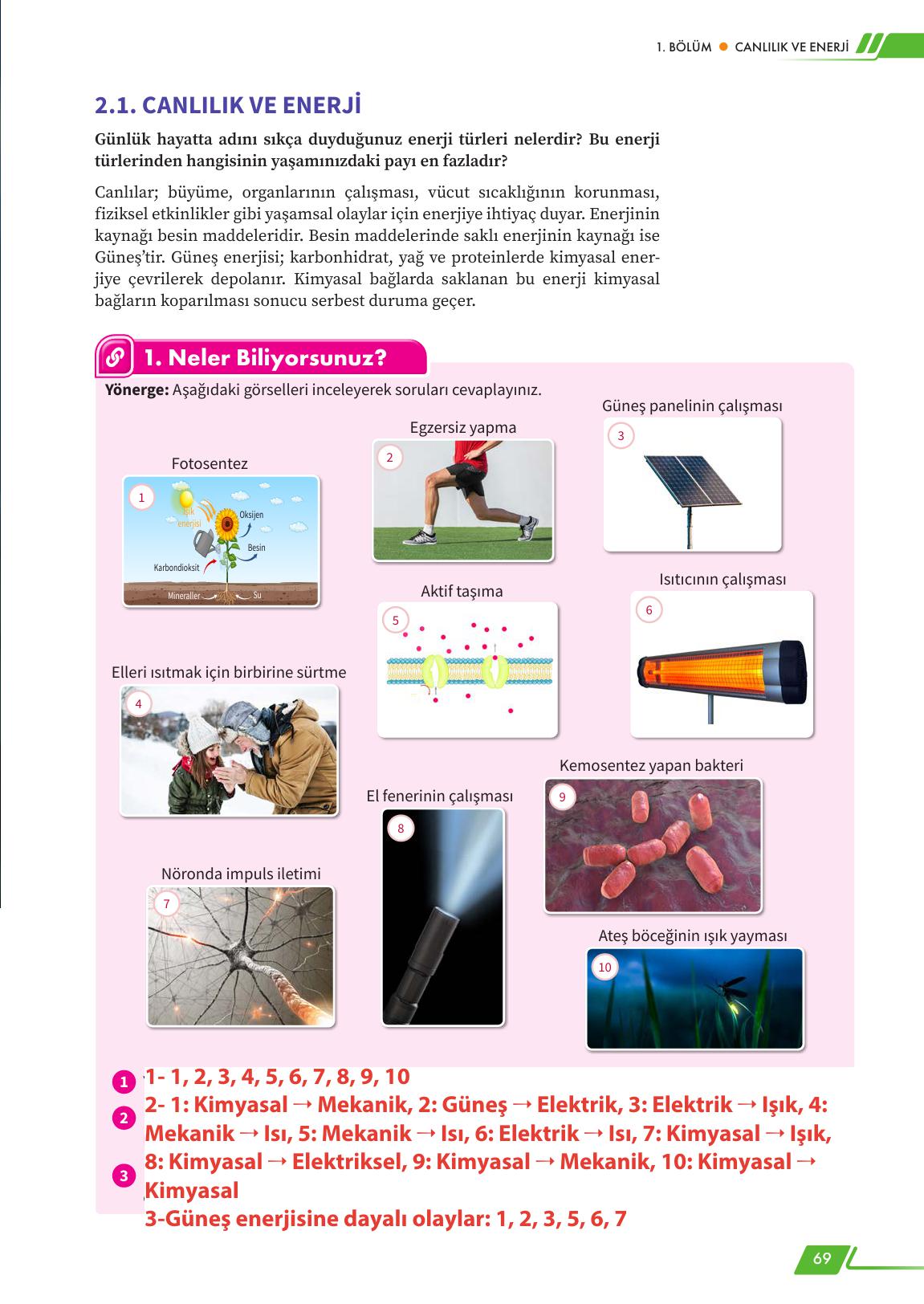 12. Sınıf Meb Yayınları Fen Lisesi Biyoloji Ders Kitabı Sayfa 69 Cevapları