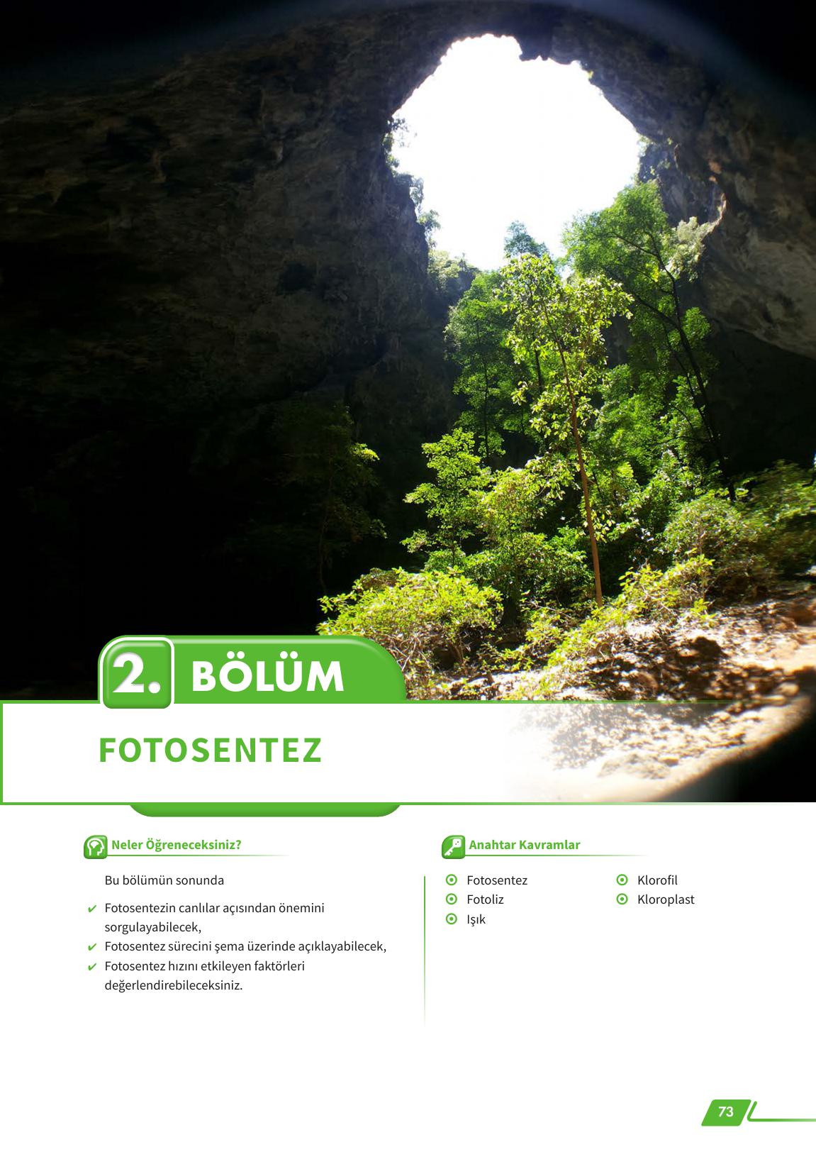 12. Sınıf Meb Yayınları Fen Lisesi Biyoloji Ders Kitabı Sayfa 73 Cevapları