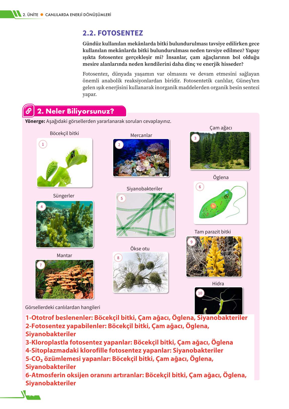 12. Sınıf Meb Yayınları Fen Lisesi Biyoloji Ders Kitabı Sayfa 74 Cevapları