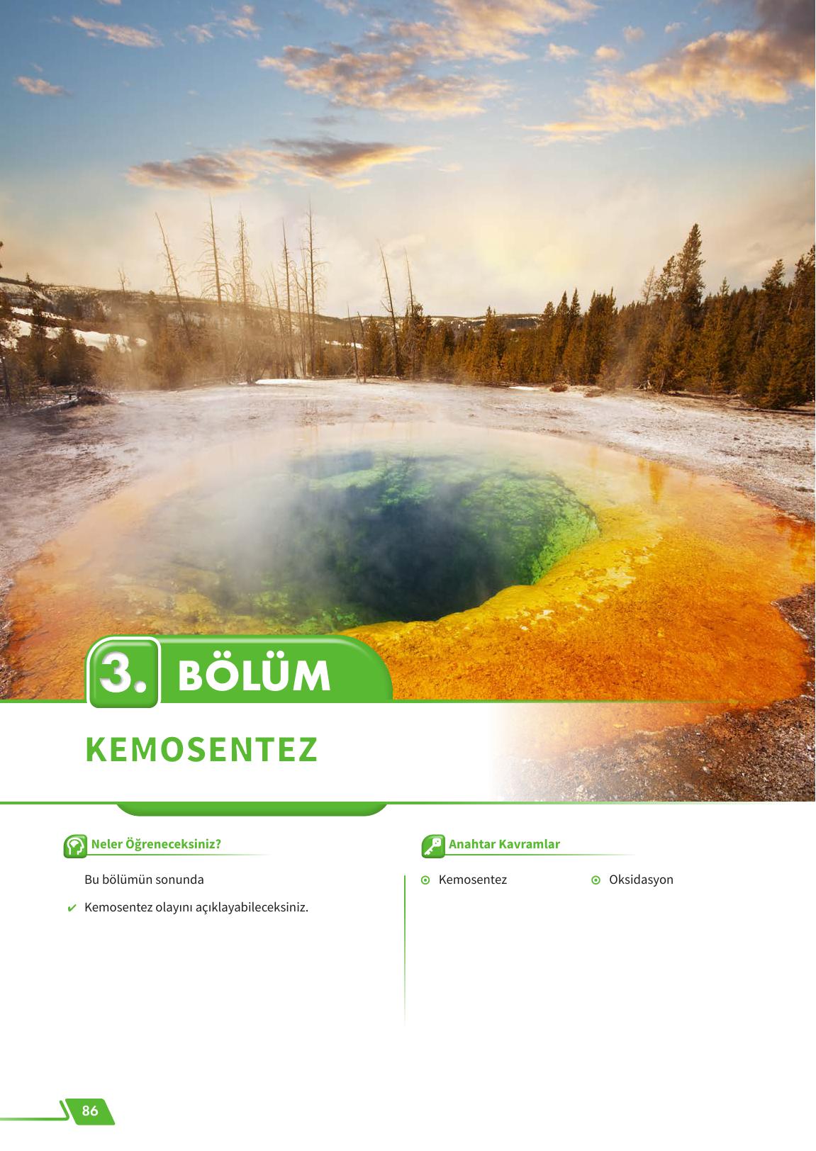 12. Sınıf Meb Yayınları Fen Lisesi Biyoloji Ders Kitabı Sayfa 86 Cevapları