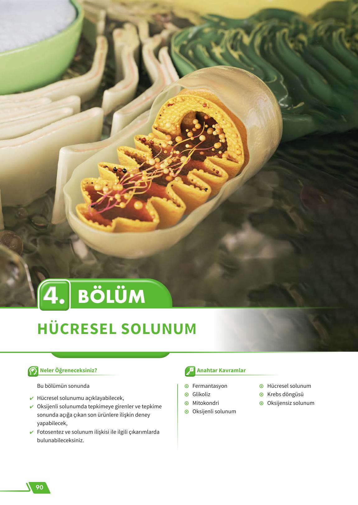 12. Sınıf Meb Yayınları Fen Lisesi Biyoloji Ders Kitabı Sayfa 90 Cevapları