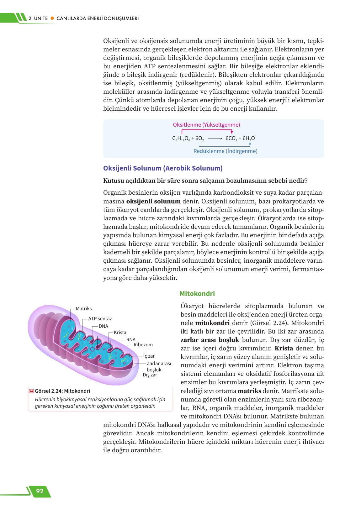 12. Sınıf Meb Yayınları Fen Lisesi Biyoloji Ders Kitabı Sayfa 92 Cevapları