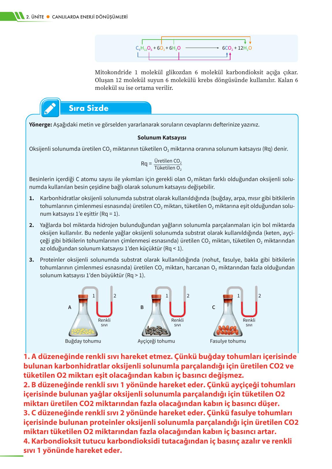 12. Sınıf Meb Yayınları Fen Lisesi Biyoloji Ders Kitabı Sayfa 96 Cevapları