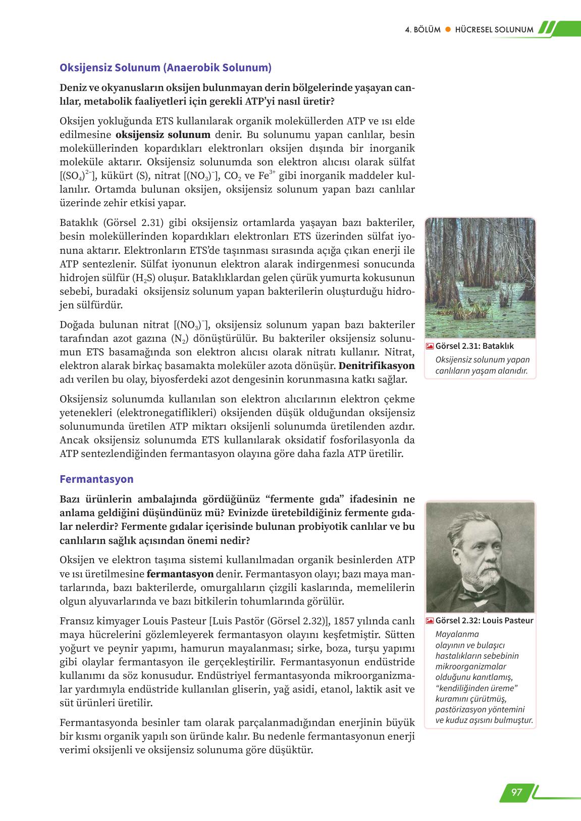 12. Sınıf Meb Yayınları Fen Lisesi Biyoloji Ders Kitabı Sayfa 97 Cevapları