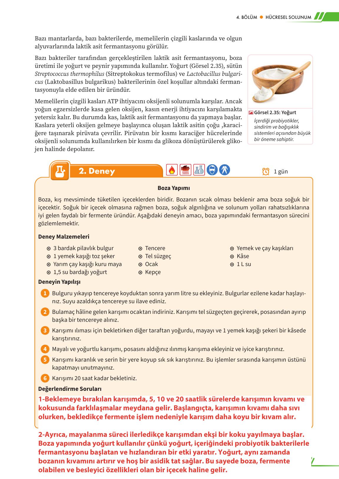 12. Sınıf Meb Yayınları Fen Lisesi Biyoloji Ders Kitabı Sayfa 99 Cevapları 12. Sınıf Meb Yayınları Fen Lisesi Biyoloji Ders Kitabı Sayfa 99 Cevapları