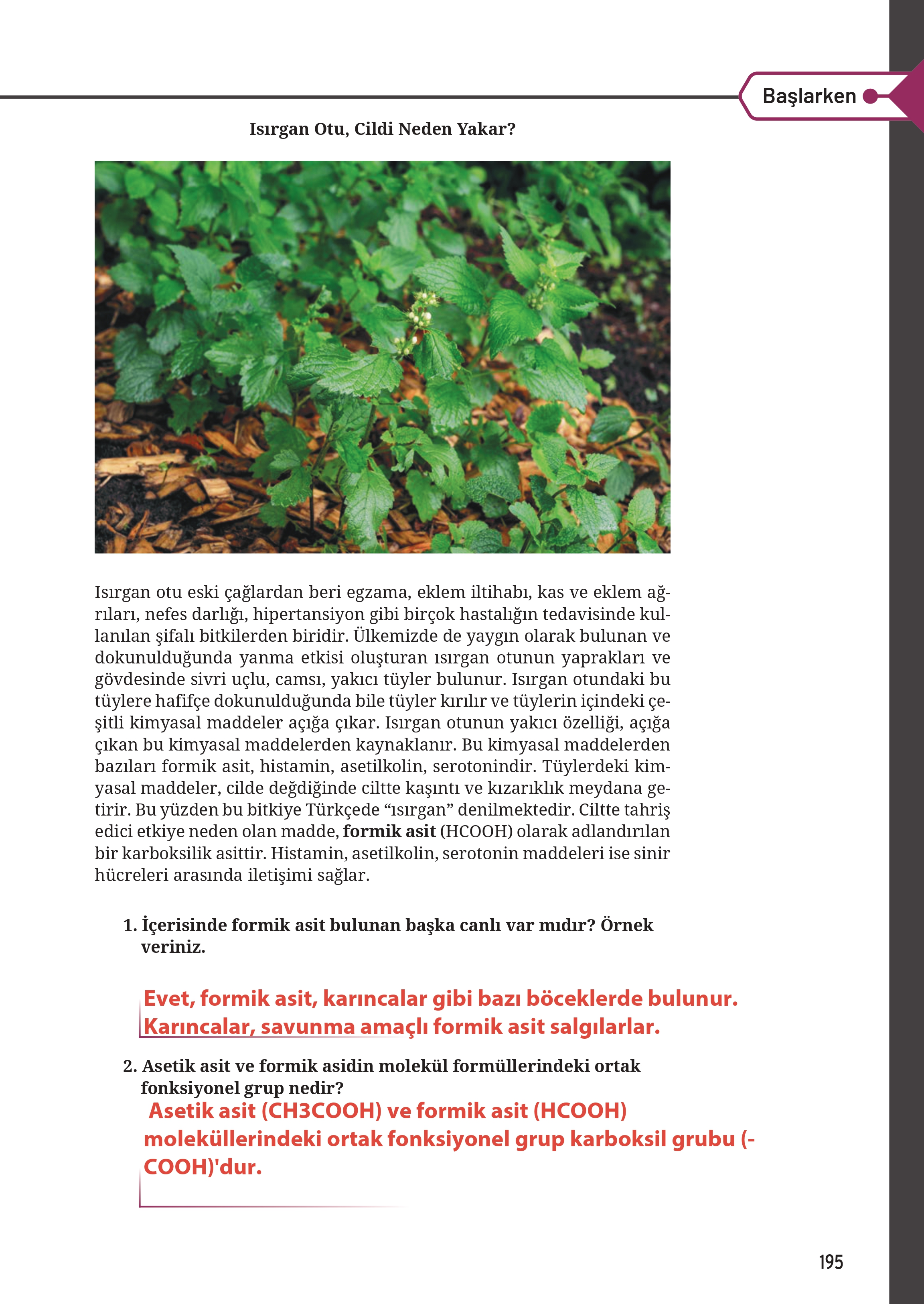 12. Sınıf Meb Yayınları Fen Lisesi Kimya Ders Kitabı Sayfa 195 Cevapları