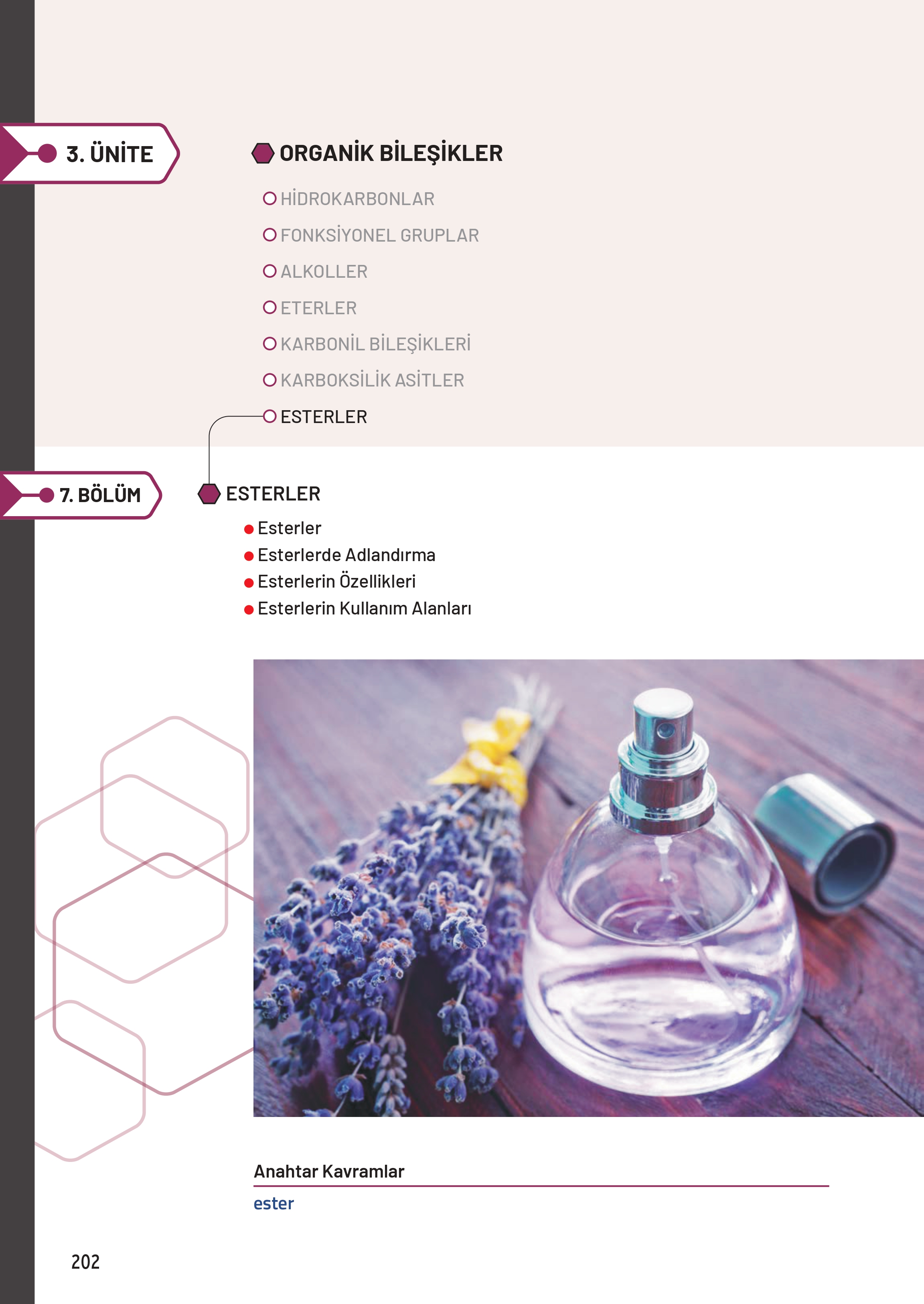 12. Sınıf Meb Yayınları Fen Lisesi Kimya Ders Kitabı Sayfa 202 Cevapları