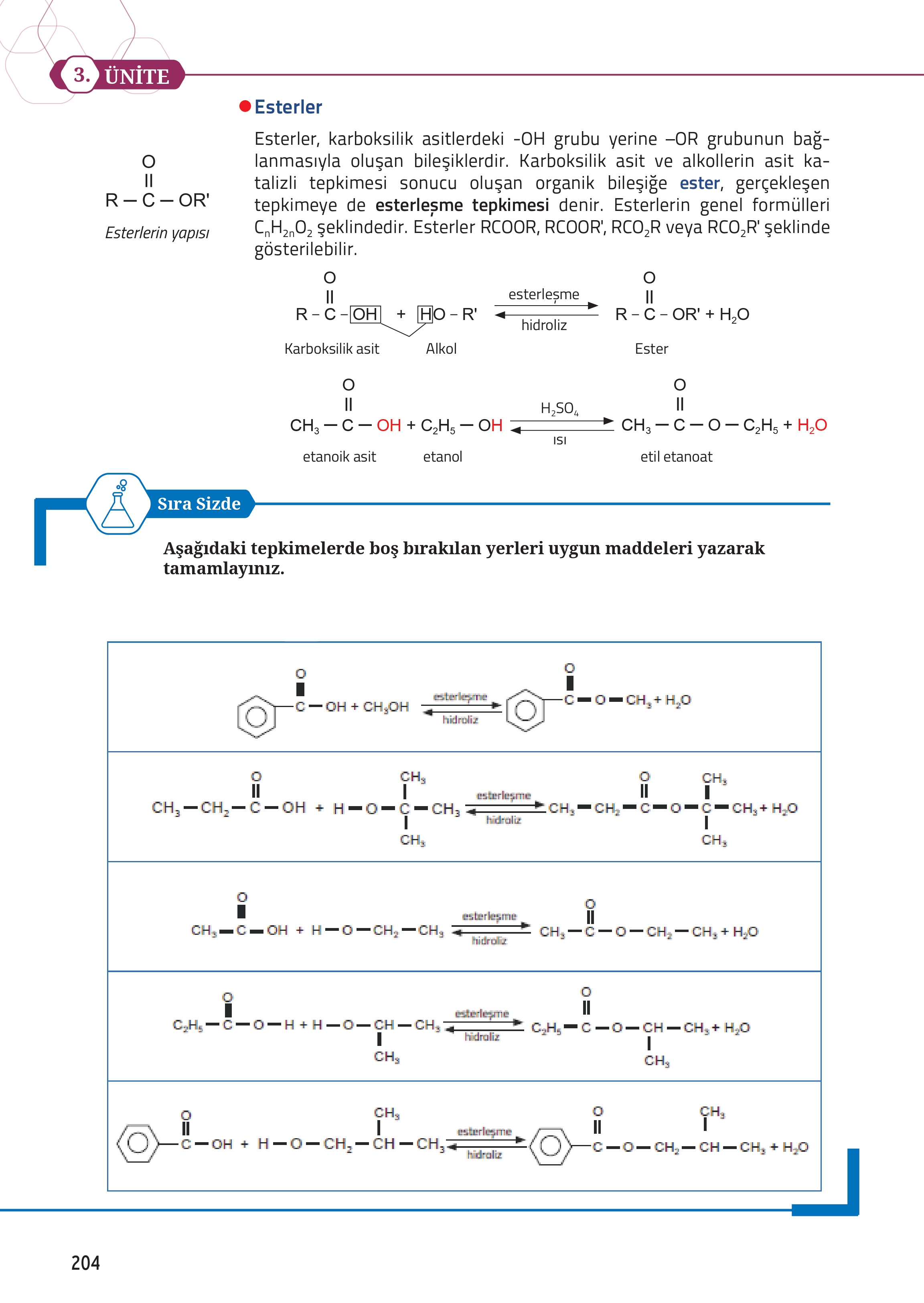 12. Sınıf Meb Yayınları Fen Lisesi Kimya Ders Kitabı Sayfa 204 Cevapları