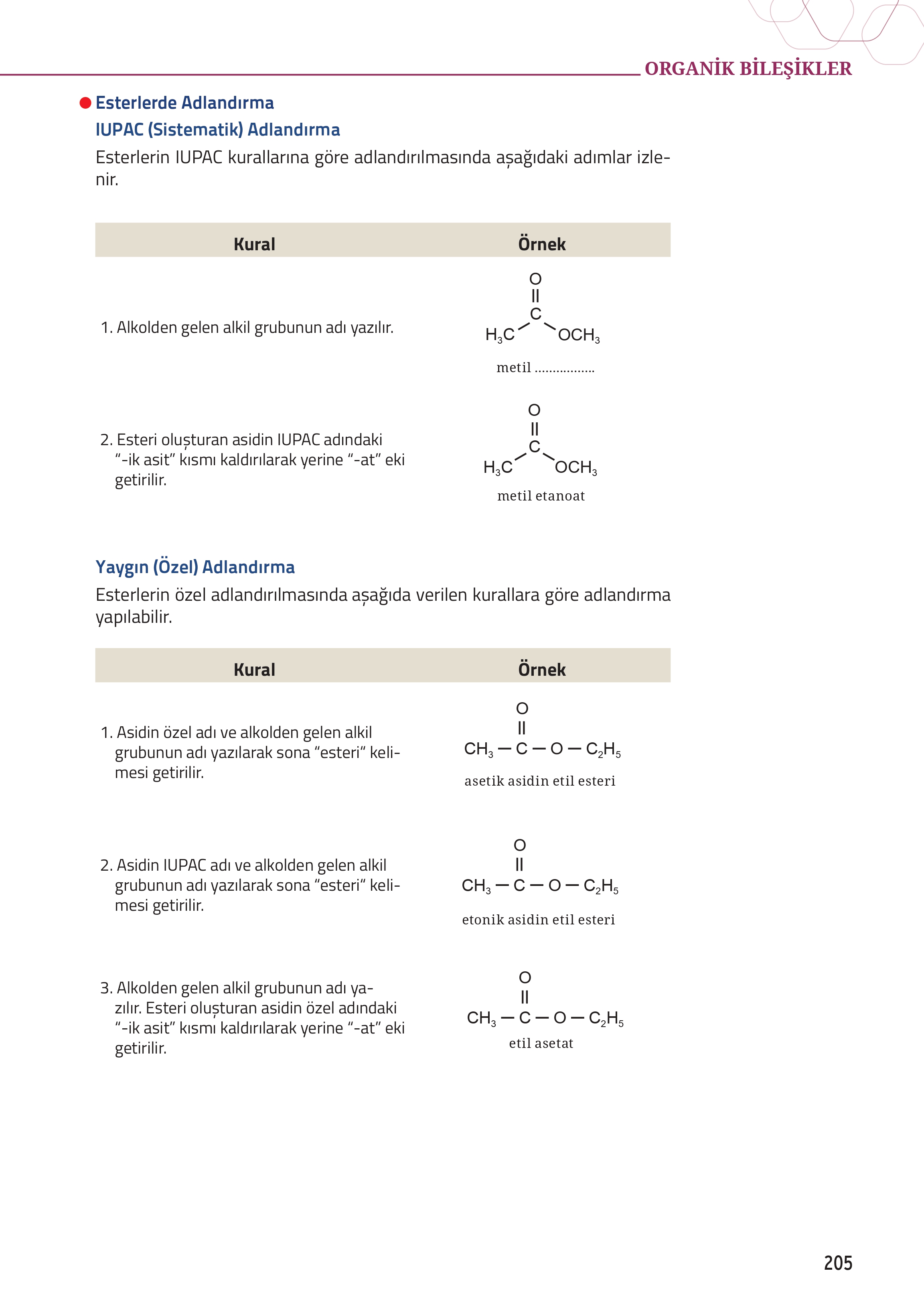 12. Sınıf Meb Yayınları Fen Lisesi Kimya Ders Kitabı Sayfa 205 Cevapları