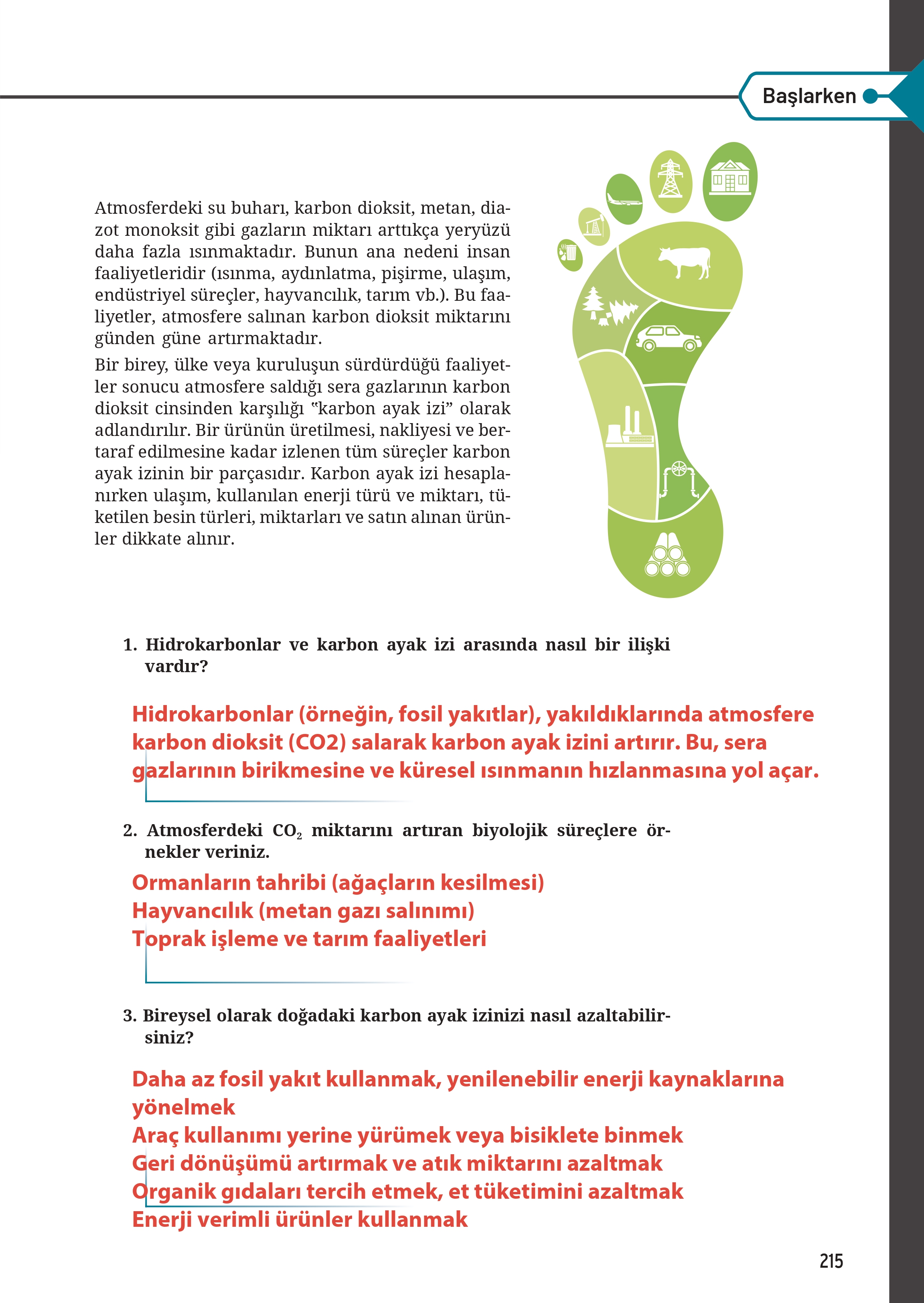 12. Sınıf Meb Yayınları Fen Lisesi Kimya Ders Kitabı Sayfa 215 Cevapları