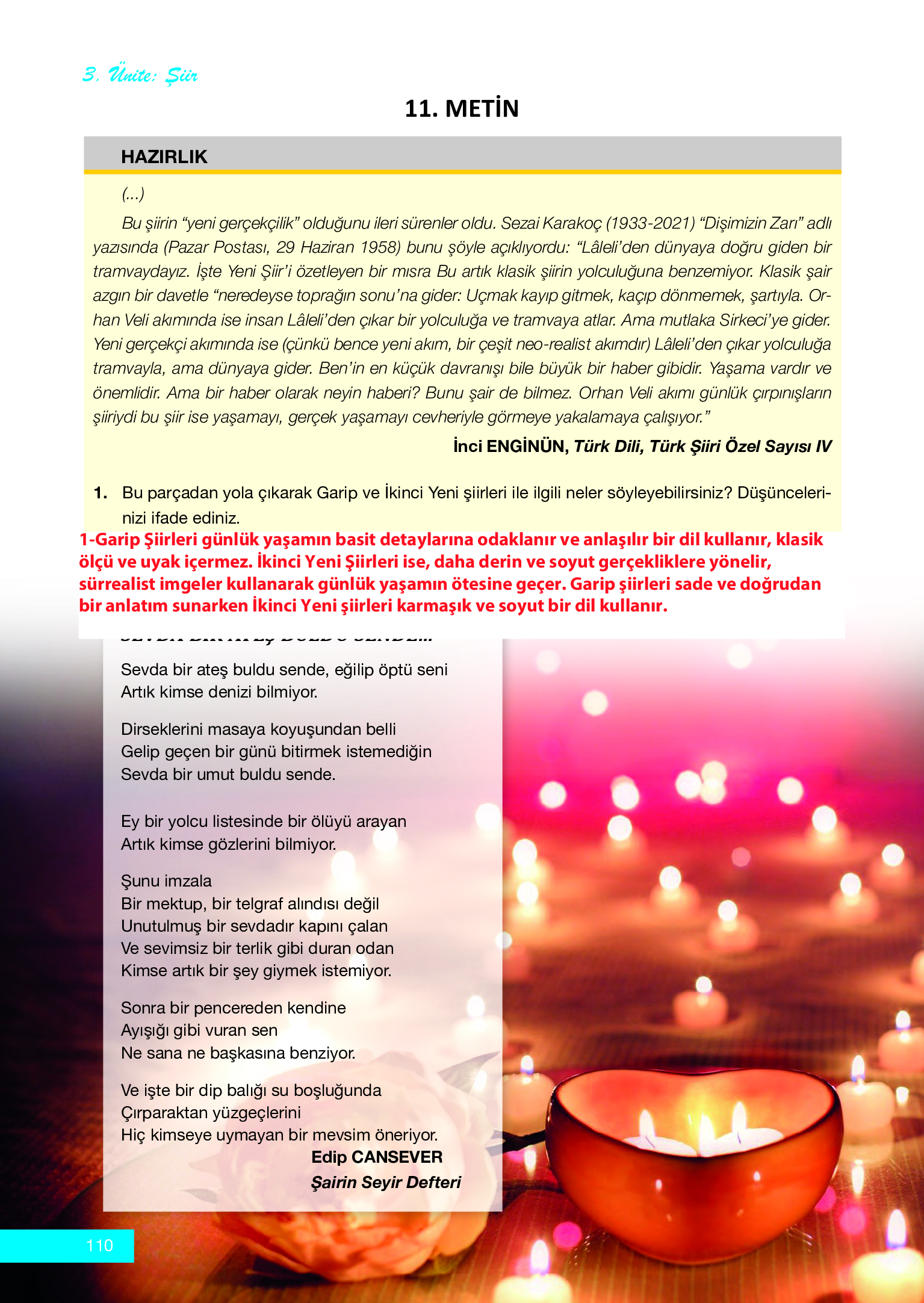 12. Sınıf Melis Yayınları Türk Dili Ve Edebiyatı Ders Kitabı Sayfa 110 Cevapları