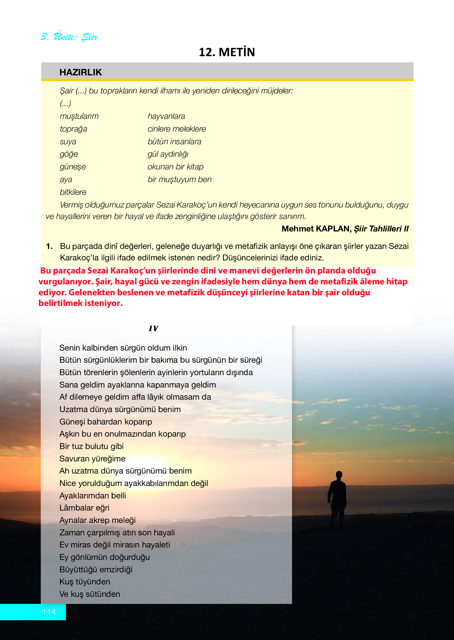 12. Sınıf Melis Yayınları Türk Dili Ve Edebiyatı Ders Kitabı Sayfa 114 Cevapları