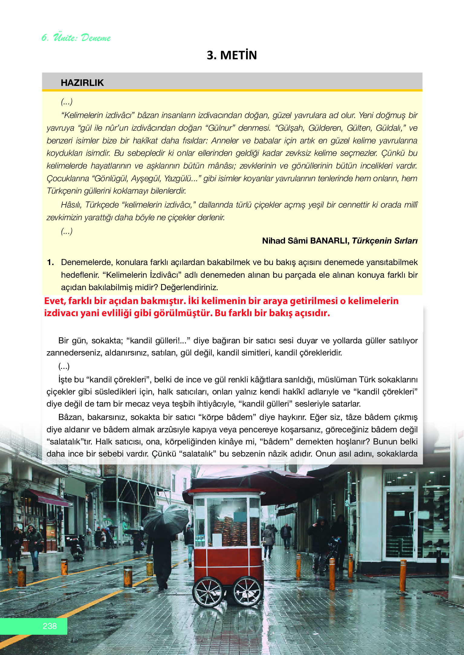 12. Sınıf Melis Yayınları Türk Dili Ve Edebiyatı Ders Kitabı Sayfa 238 Cevapları