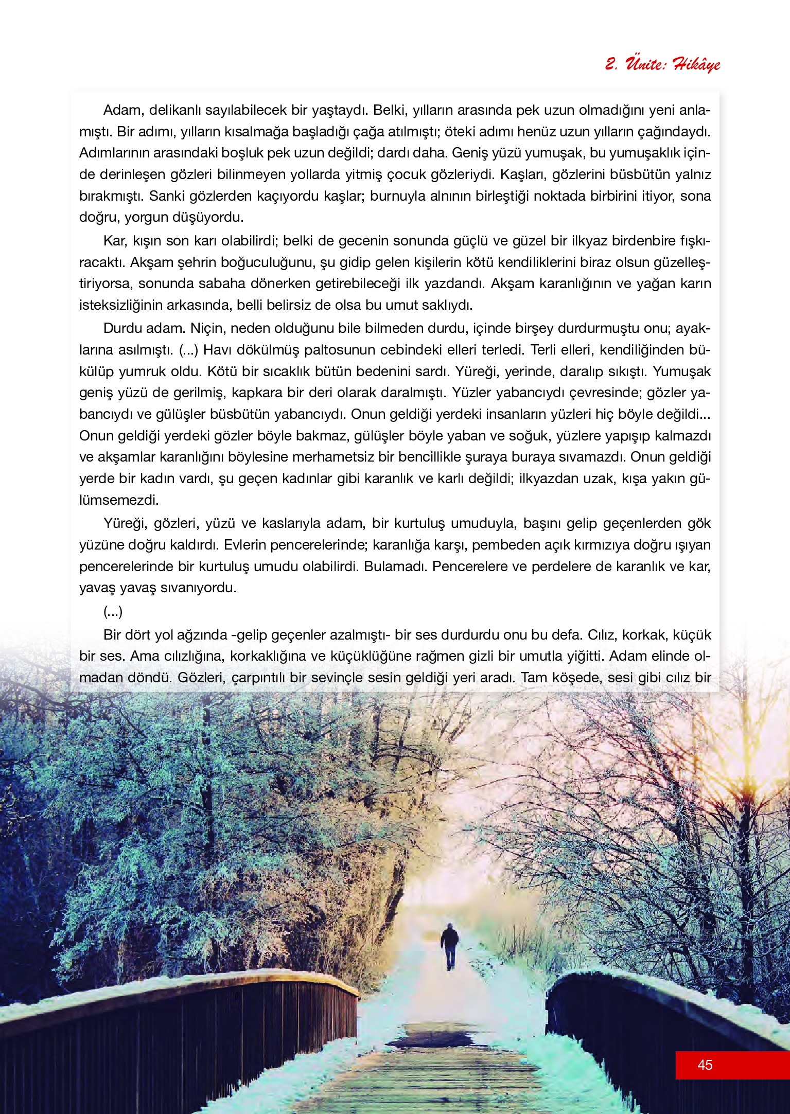 12. Sınıf Melis Yayınları Türk Dili Ve Edebiyatı Ders Kitabı Sayfa 45 Cevapları