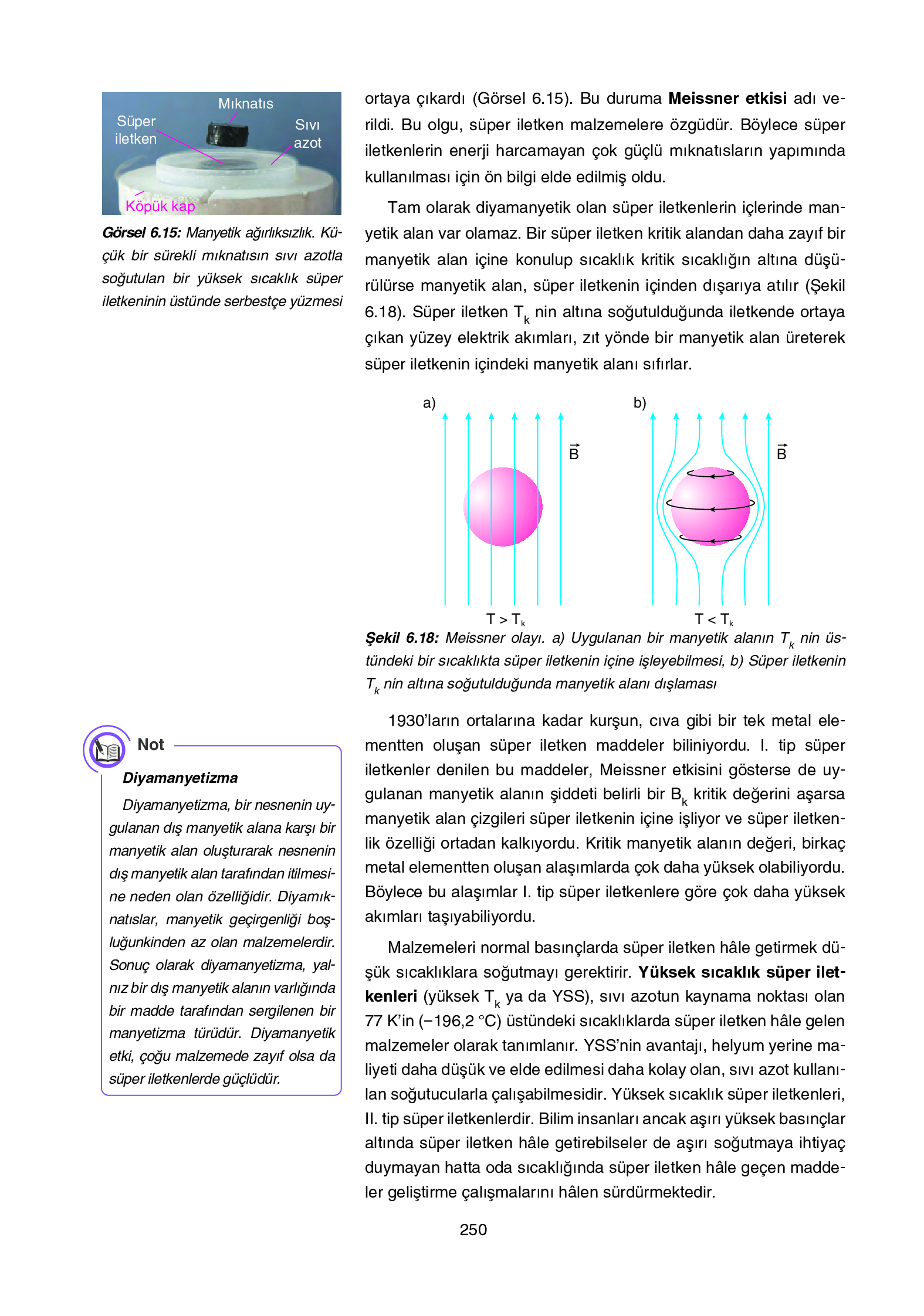 12. Sınıf Yıldırım Yayınları Fizik Ders Kitabı Sayfa 250 Cevapları