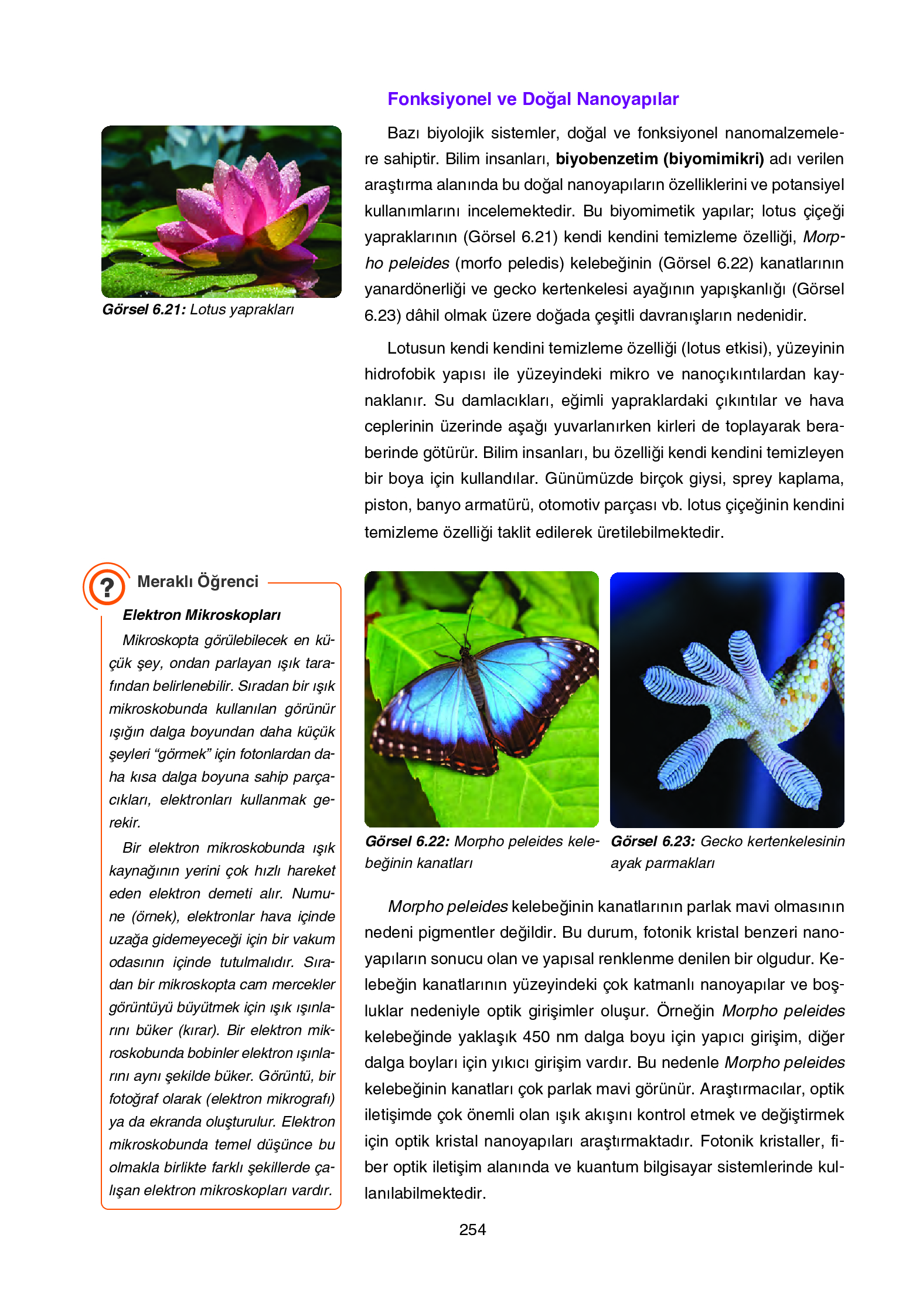 12. Sınıf Yıldırım Yayınları Fizik Ders Kitabı Sayfa 254 Cevapları