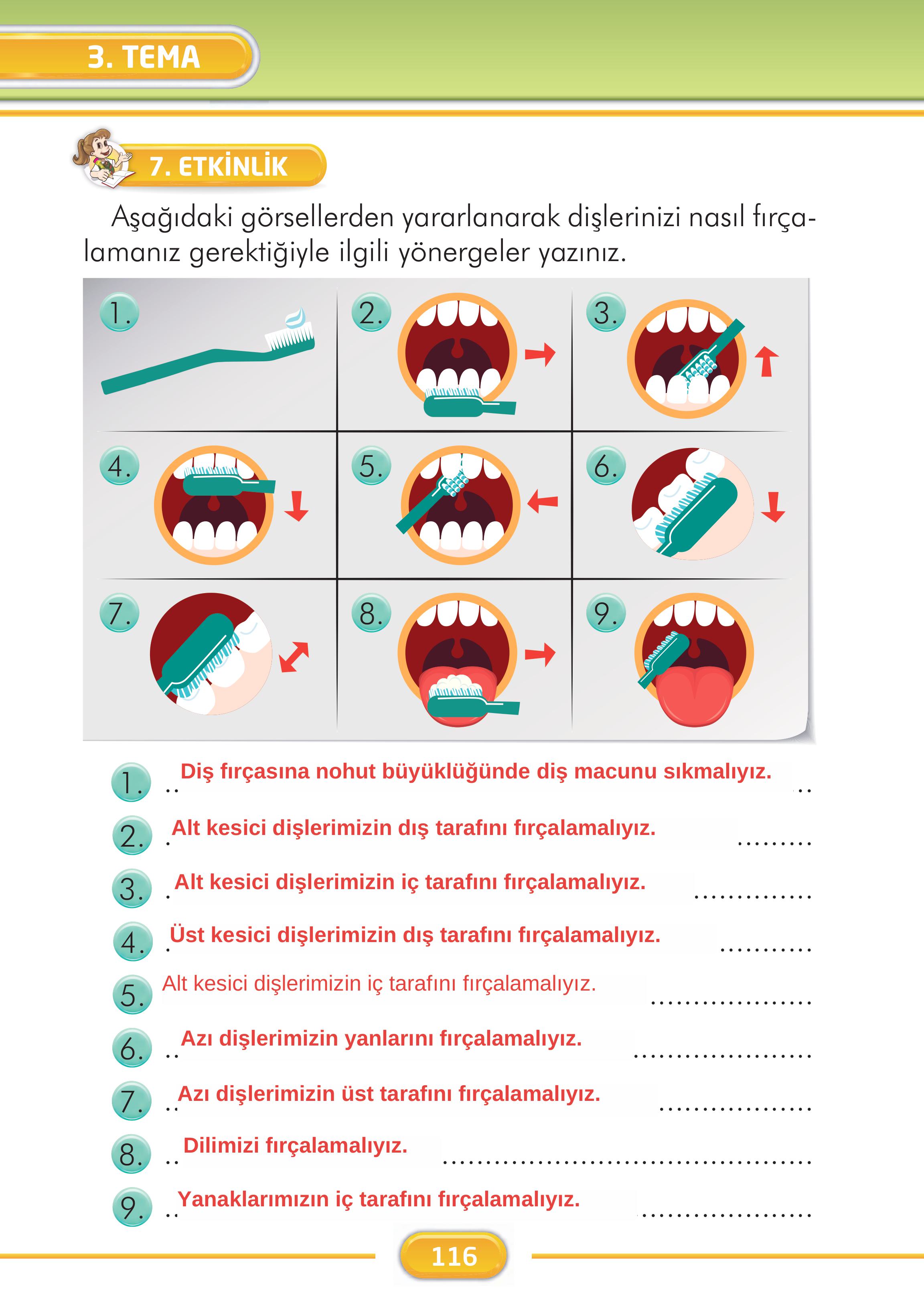 2. Sınıf İlke Yayınları Türkçe Ders Kitabı Sayfa 116 Cevapları 2. Sınıf İlke Yayınları Türkçe Ders Kitabı Sayfa 116 Cevapları
