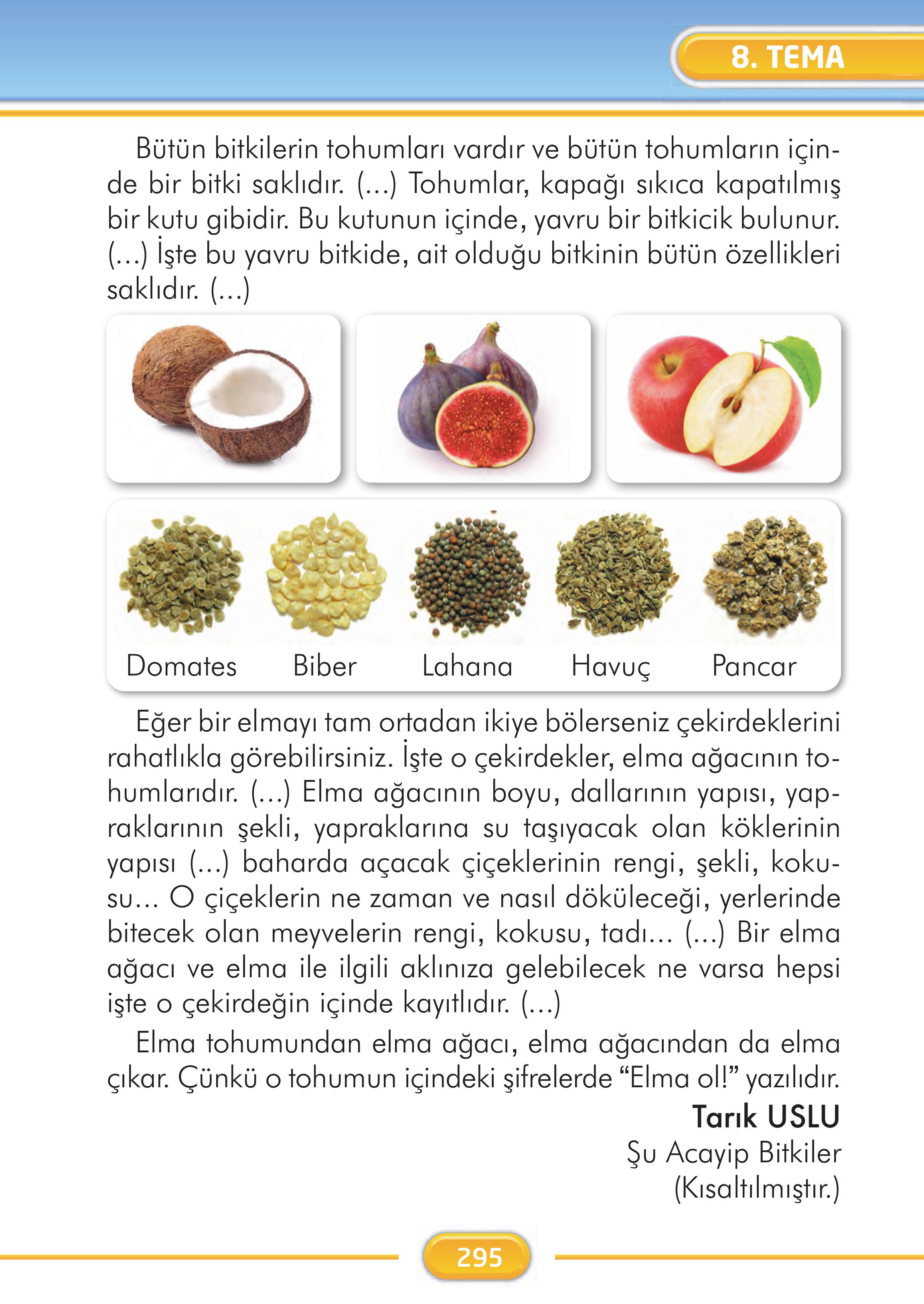 2. Sınıf İlke Yayınları Türkçe Ders Kitabı Sayfa 295 Cevapları 2. Sınıf İlke Yayınları Türkçe Ders Kitabı Sayfa 295 Cevapları