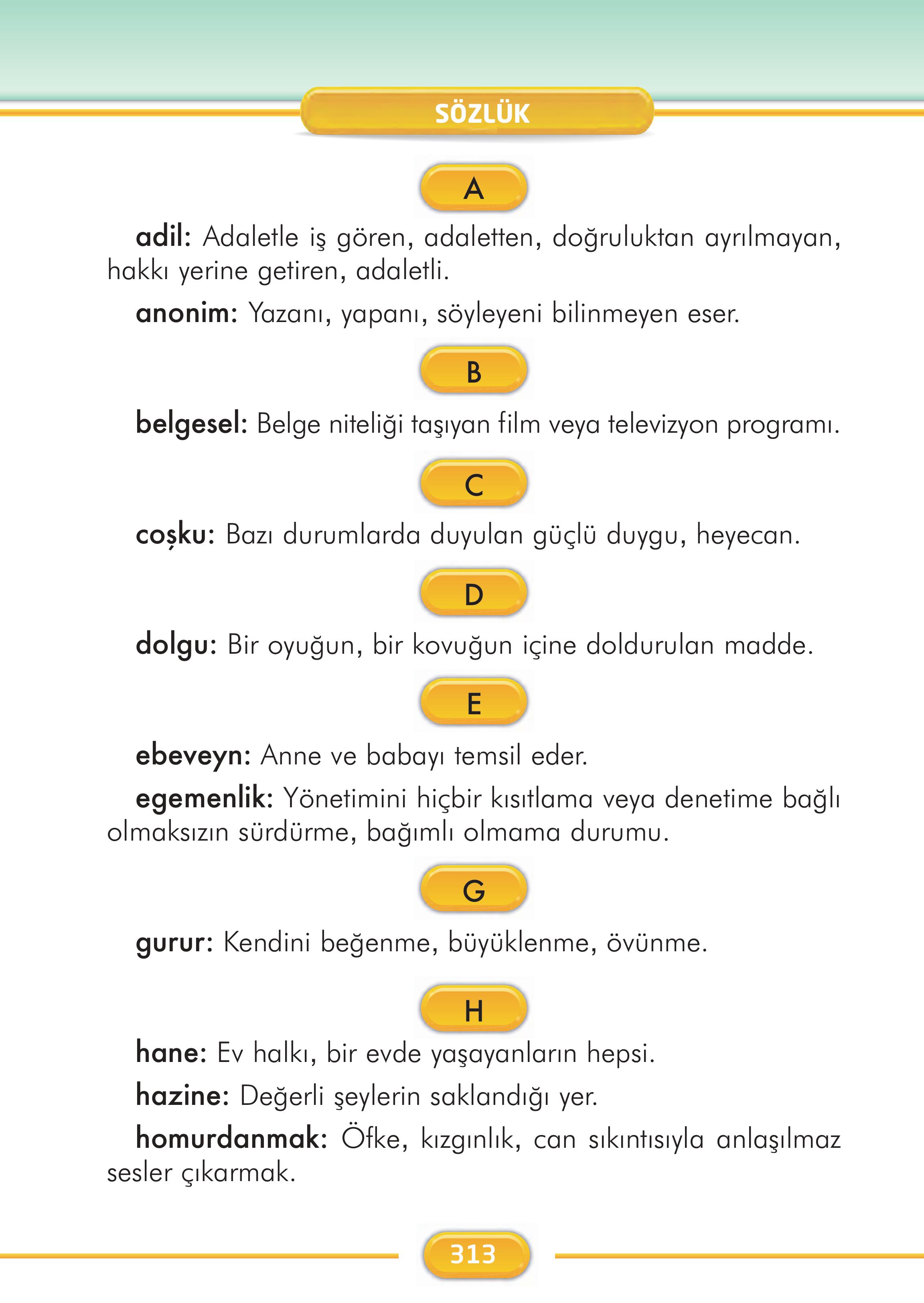 2. Sınıf İlke Yayınları Türkçe Ders Kitabı Sayfa 313 Cevapları
