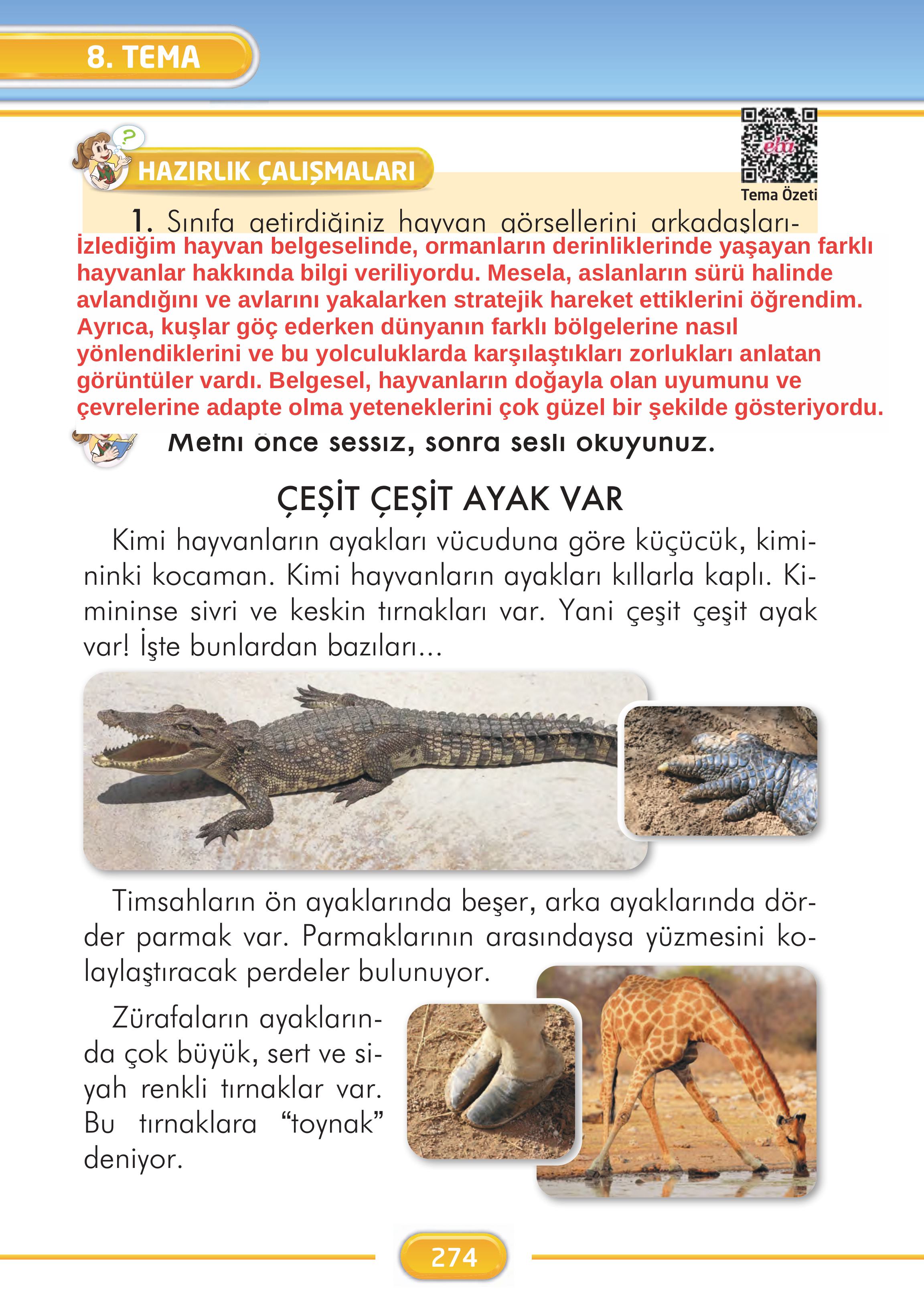 2. Sınıf Kare Yayınları Türkçe Ders Kitabı Sayfa 274 Cevapları