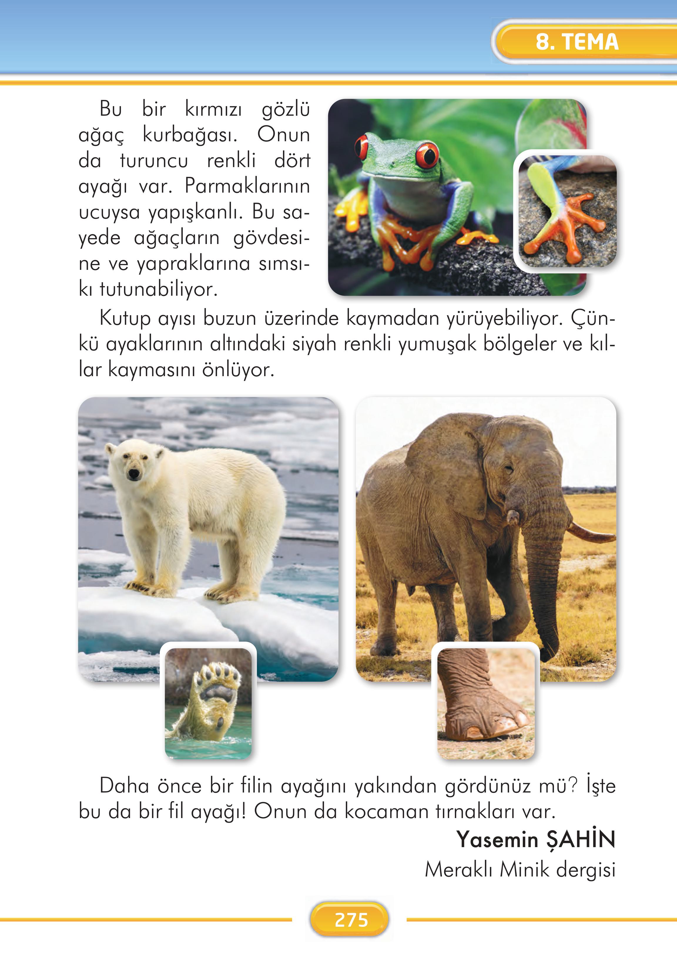 2. Sınıf Kare Yayınları Türkçe Ders Kitabı Sayfa 275 Cevapları