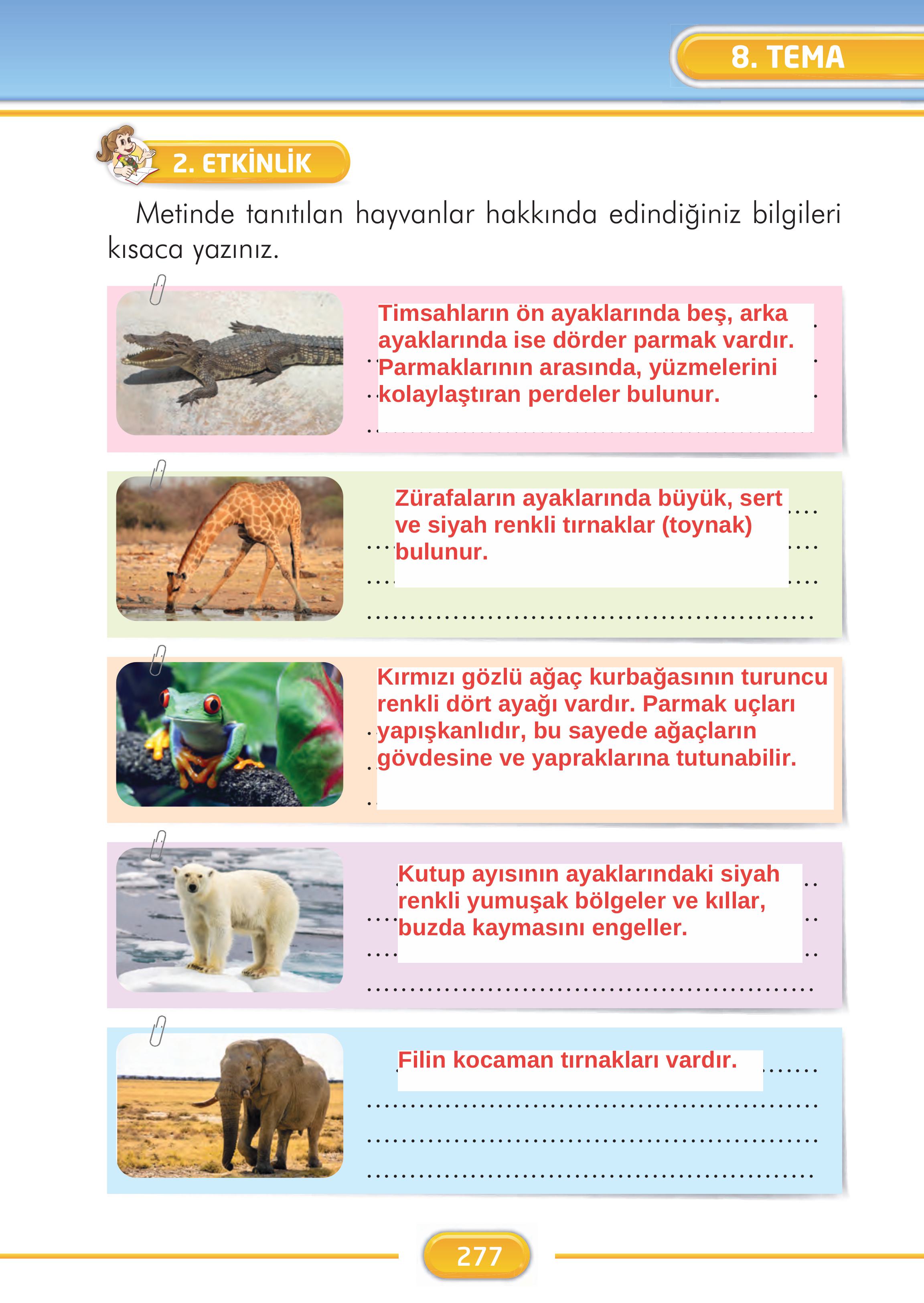 2. Sınıf Kare Yayınları Türkçe Ders Kitabı Sayfa 277 Cevapları 2. Sınıf Kare Yayınları Türkçe Ders Kitabı Sayfa 277 Cevapları