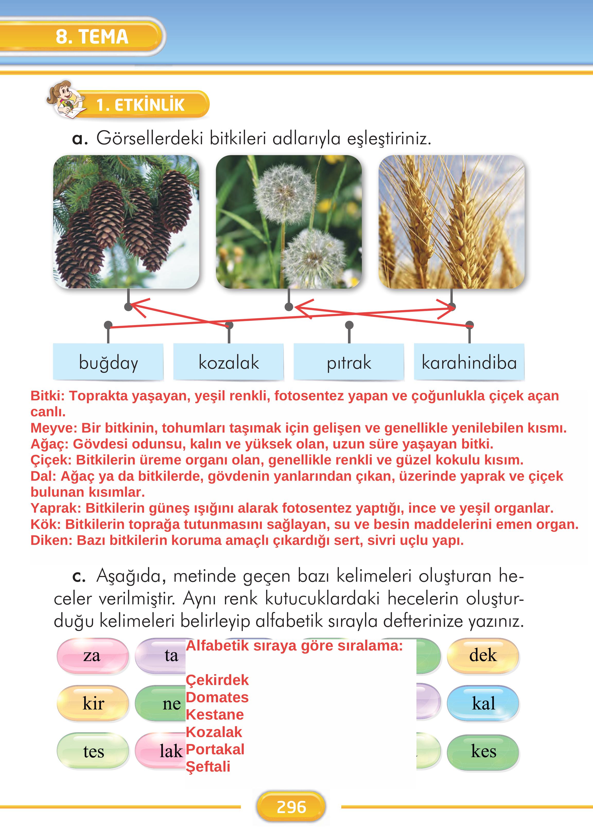 2. Sınıf Kare Yayınları Türkçe Ders Kitabı Sayfa 296 Cevapları